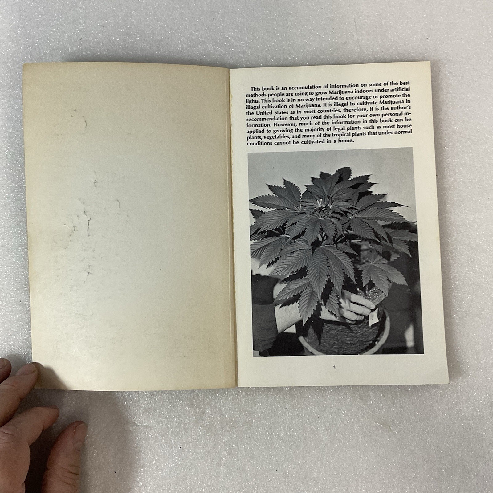 How to Grow Marijuana Indoors Under Lights 1975 Murphy Stevens 3rd Ed - Image 4