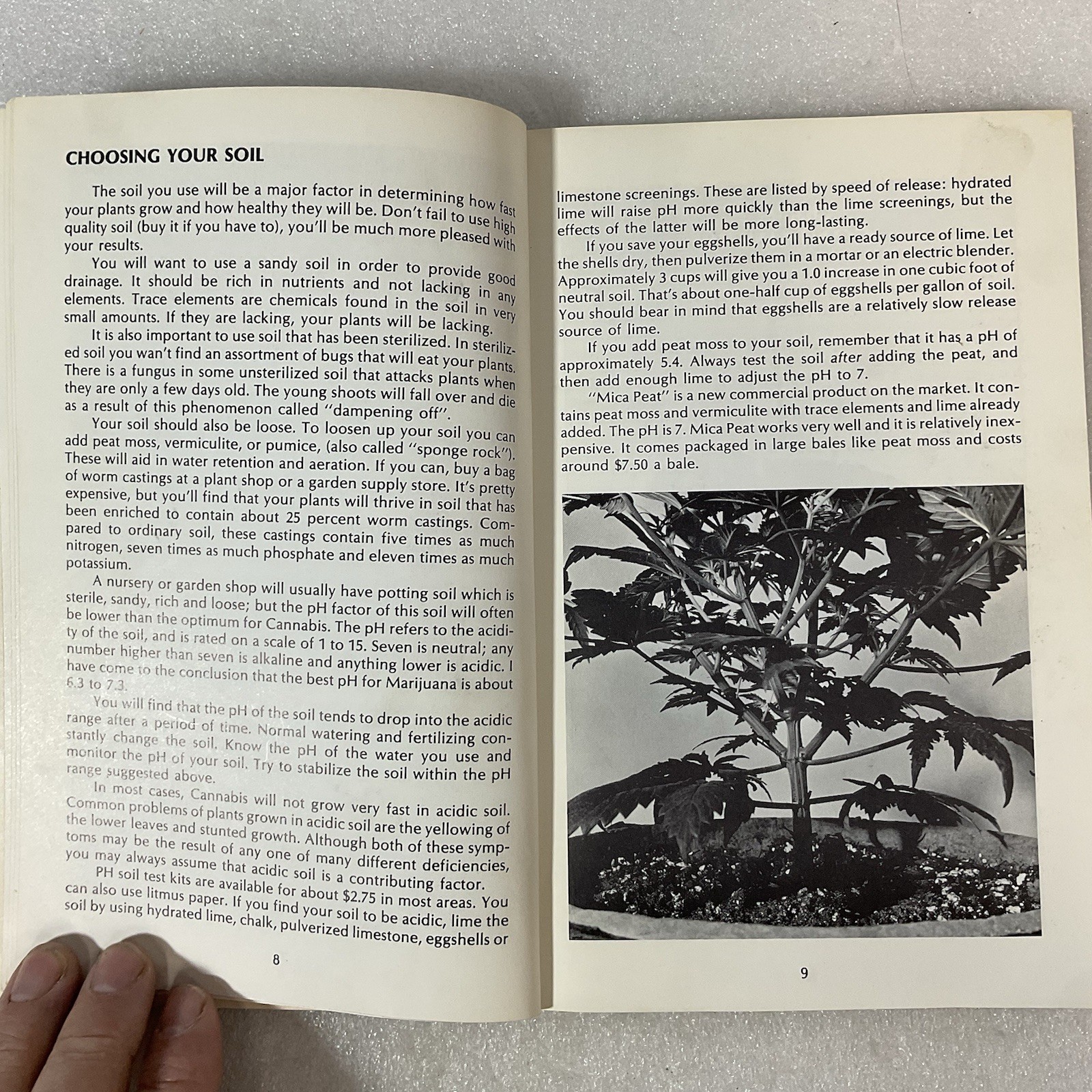 How to Grow Marijuana Indoors Under Lights 1975 Murphy Stevens 3rd Ed - Image 11