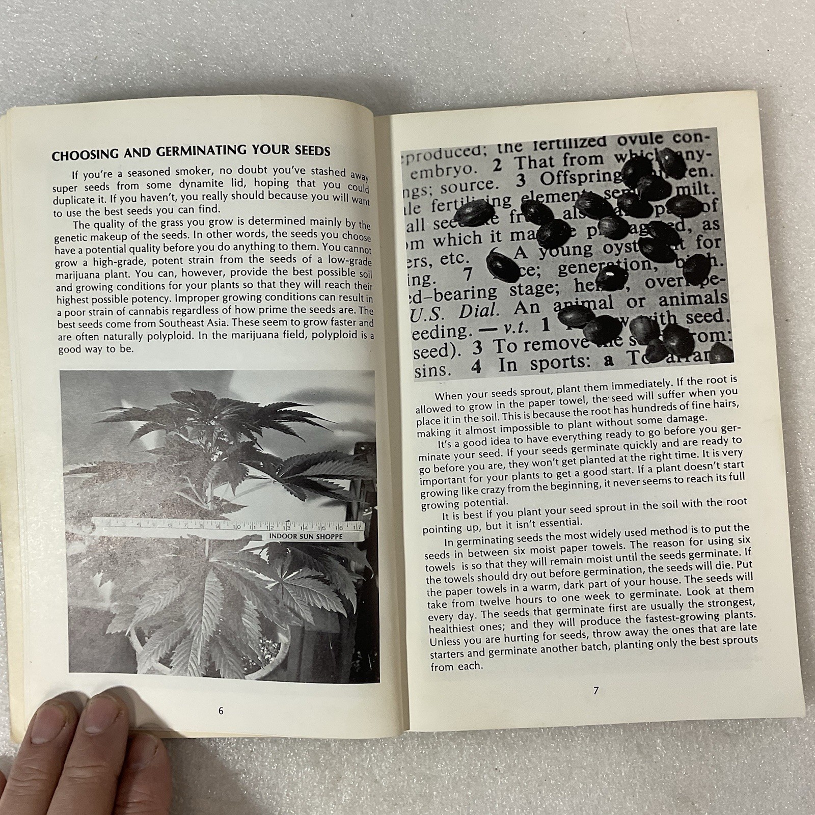 How to Grow Marijuana Indoors Under Lights 1975 Murphy Stevens 3rd Ed - Image 12