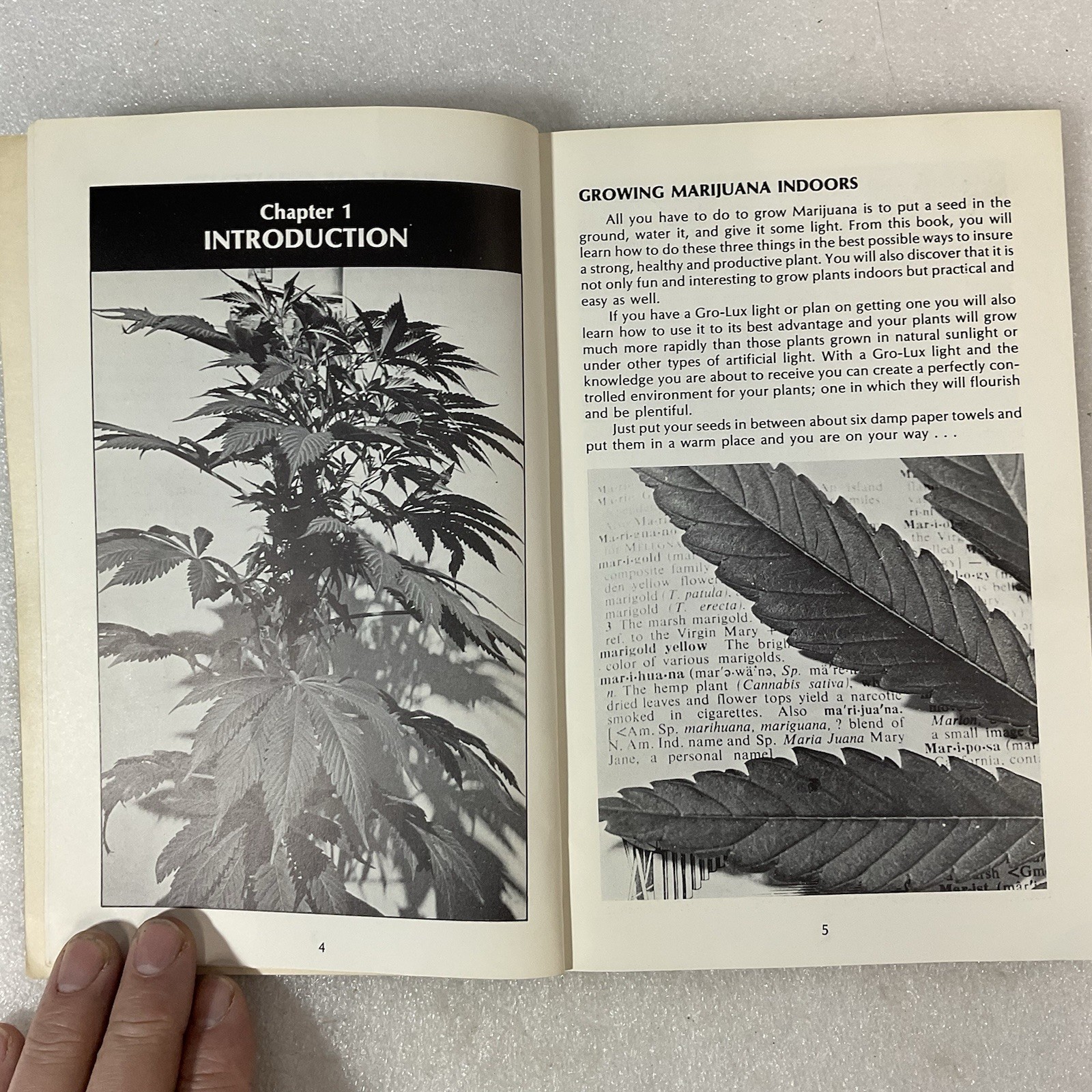 How to Grow Marijuana Indoors Under Lights 1975 Murphy Stevens 3rd Ed - Image 13