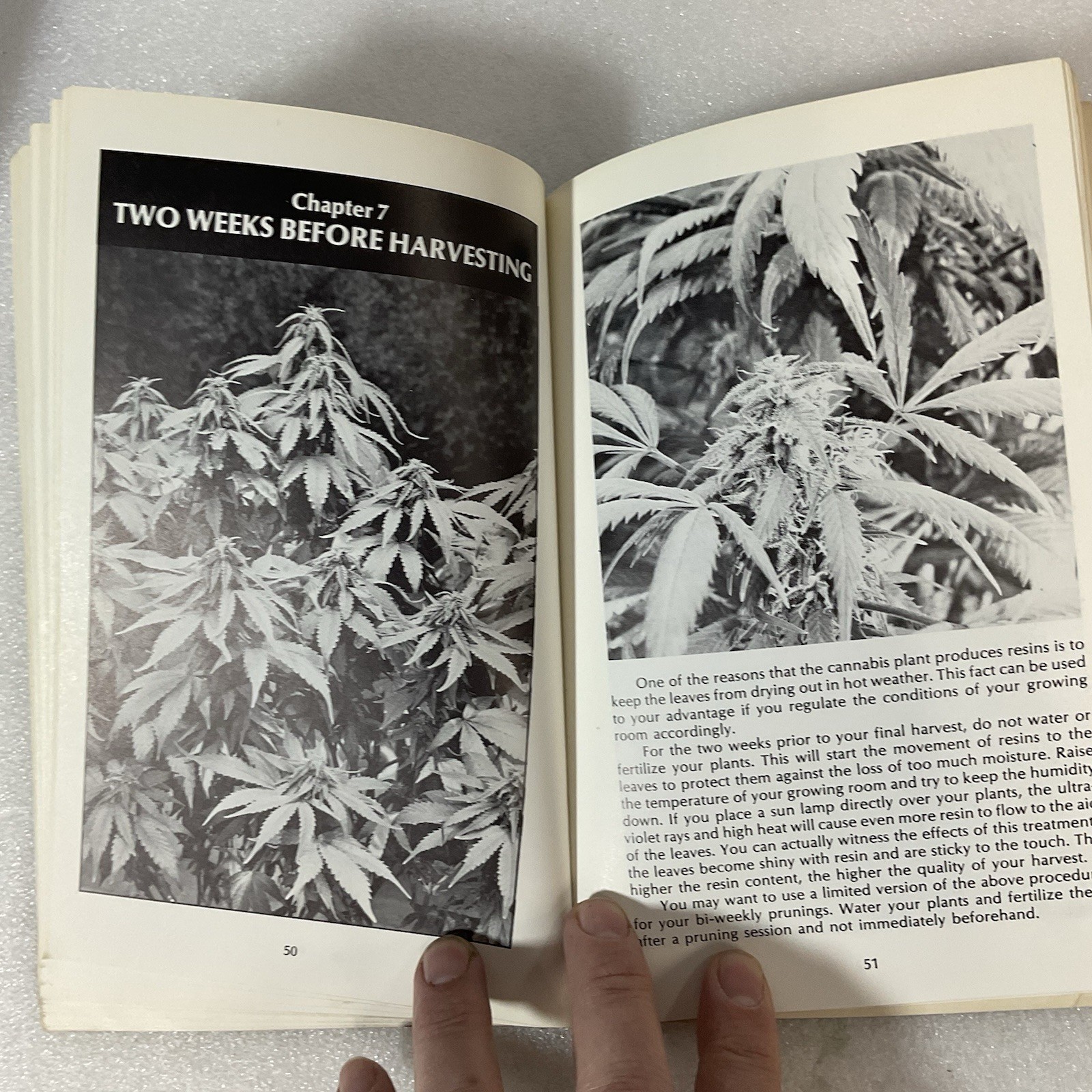 How to Grow Marijuana Indoors Under Lights 1975 Murphy Stevens 3rd Ed - Image 17