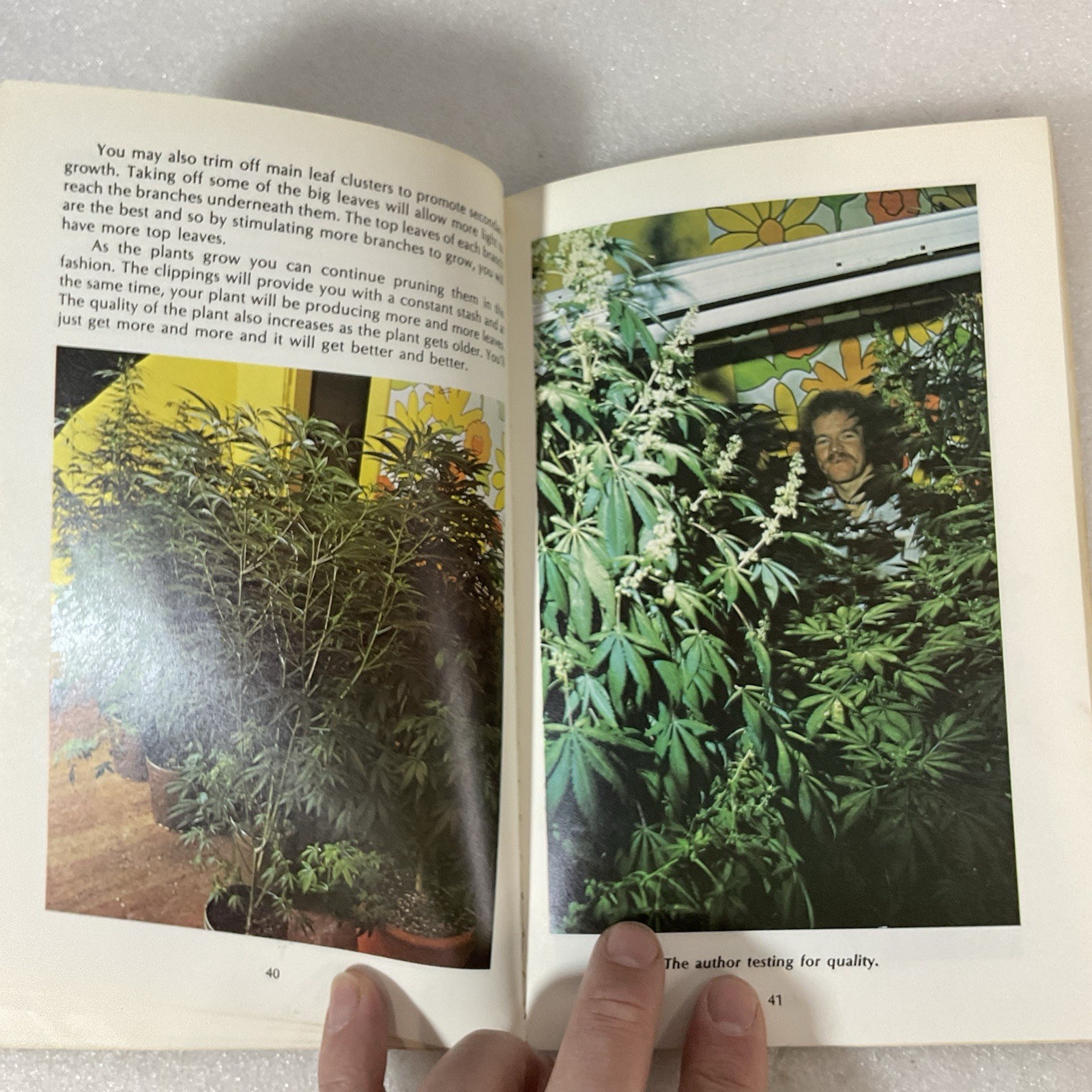 How to Grow Marijuana Indoors Under Lights 1975 Murphy Stevens 3rd Ed - Image 18