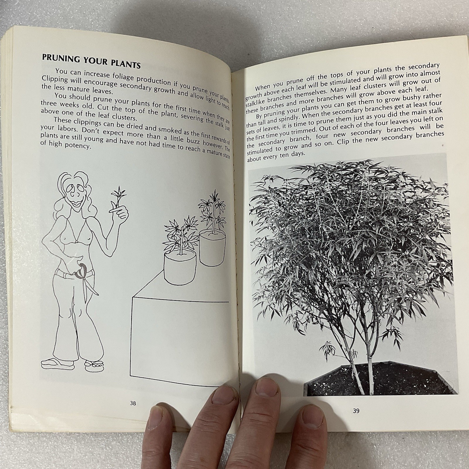 How to Grow Marijuana Indoors Under Lights 1975 Murphy Stevens 3rd Ed - Image 19