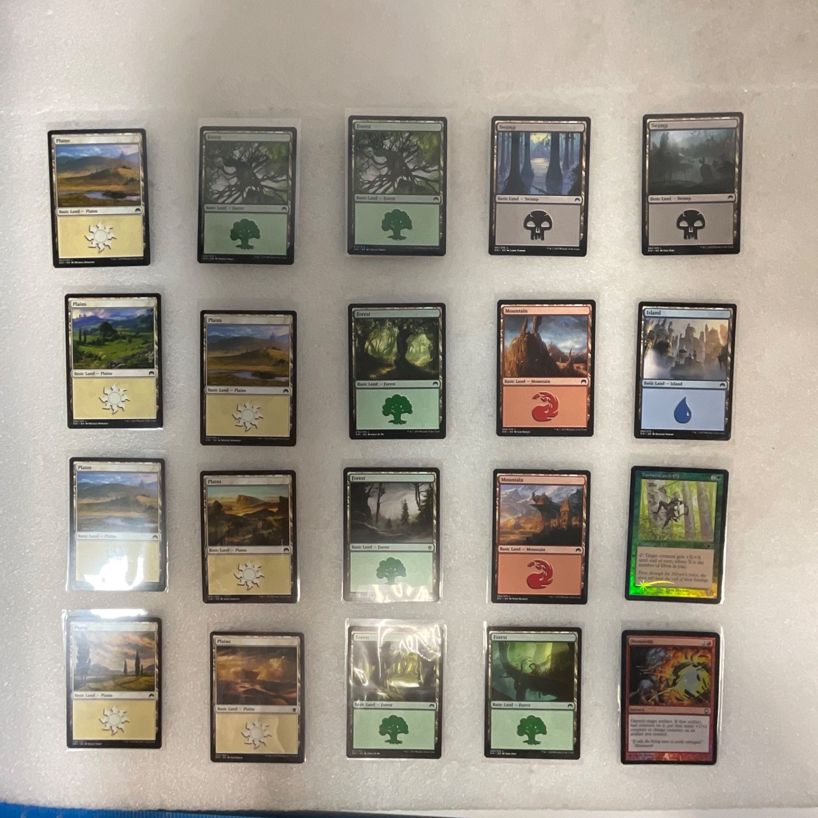 MTG 20 Card Mixed Set Lot Timberwatch Elf Dismantle Foil Basic Lands - Image 1