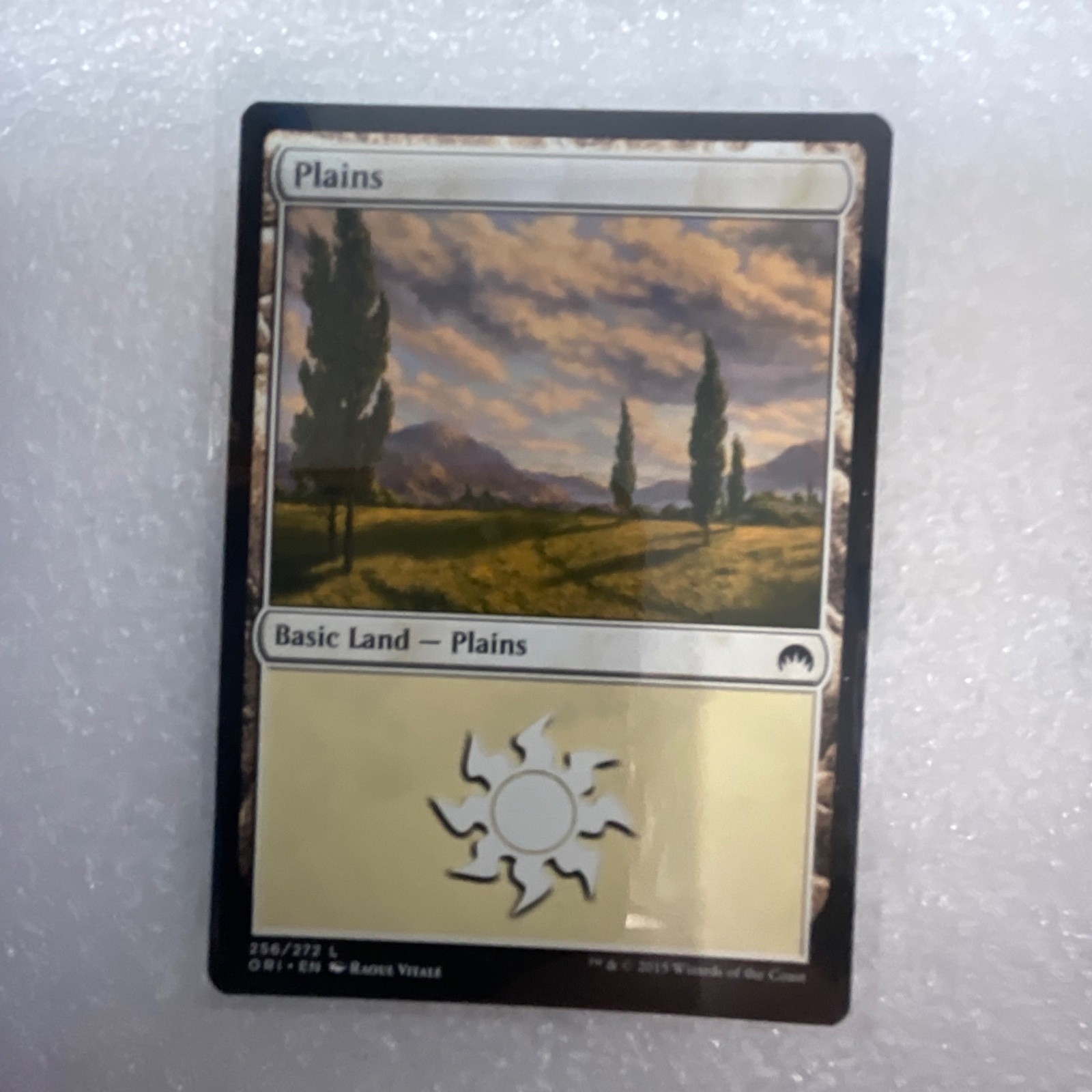 MTG 20 Card Mixed Set Lot Timberwatch Elf Dismantle Foil Basic Lands - Image 6