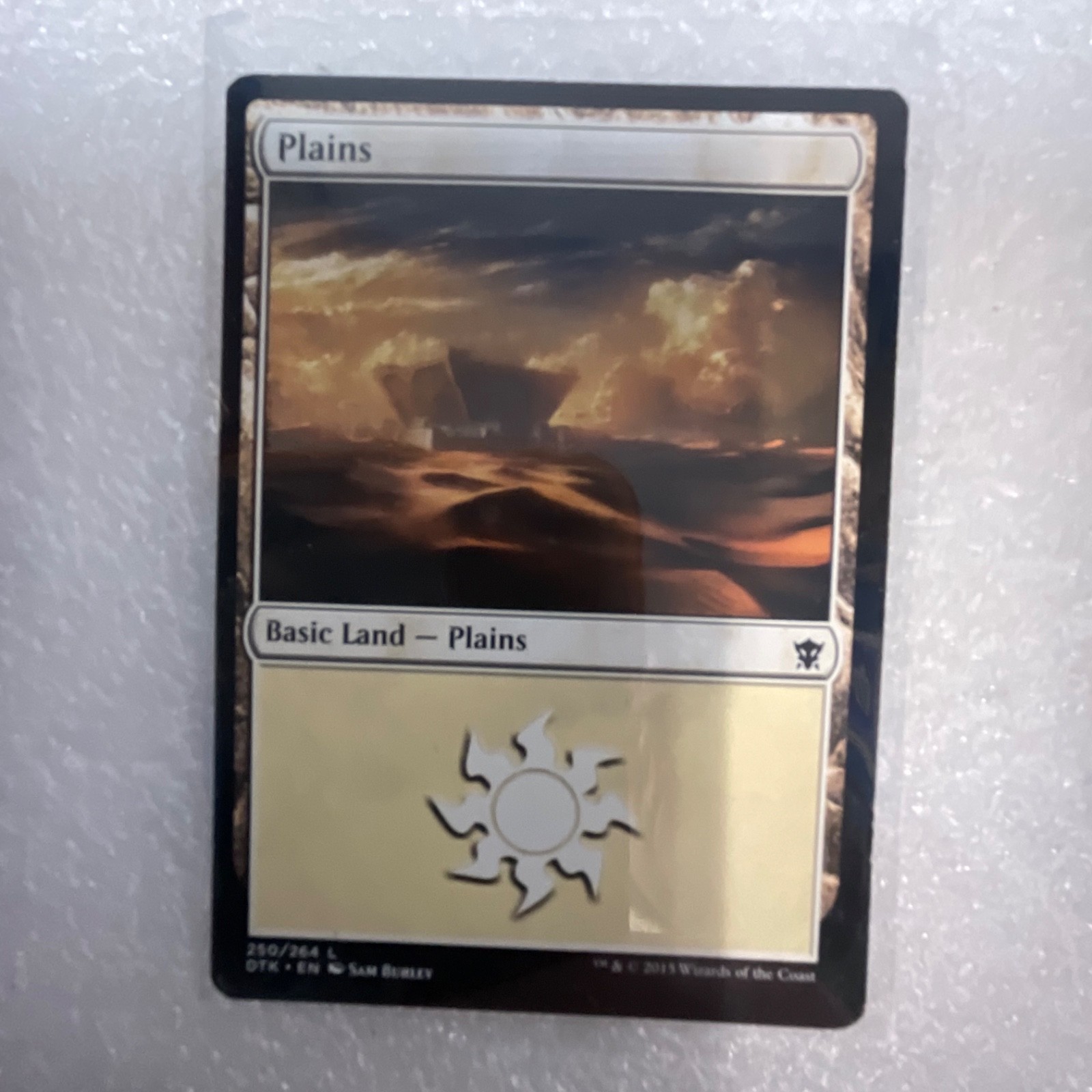 MTG 20 Card Mixed Set Lot Timberwatch Elf Dismantle Foil Basic Lands - Image 7