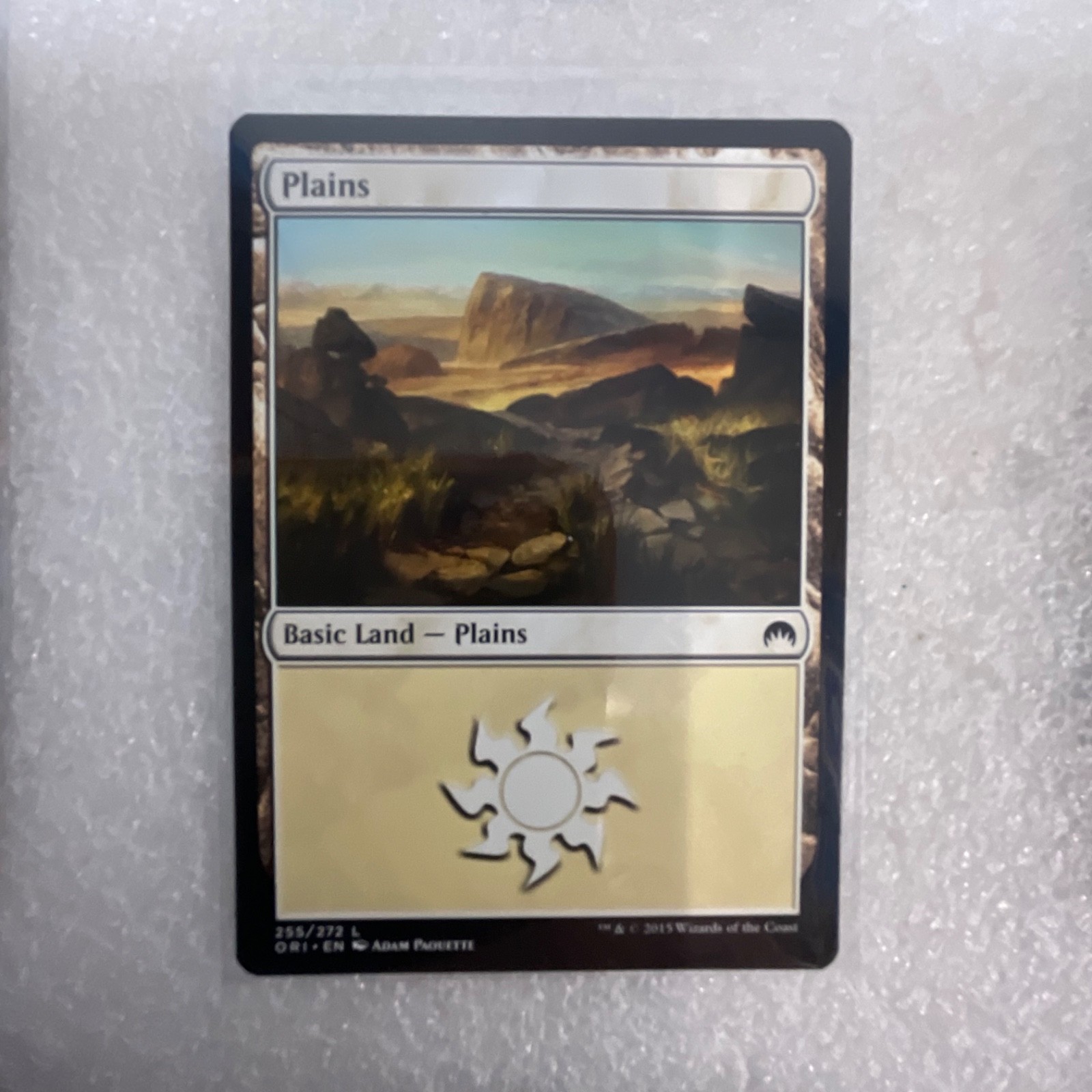MTG 20 Card Mixed Set Lot Timberwatch Elf Dismantle Foil Basic Lands - Image 8