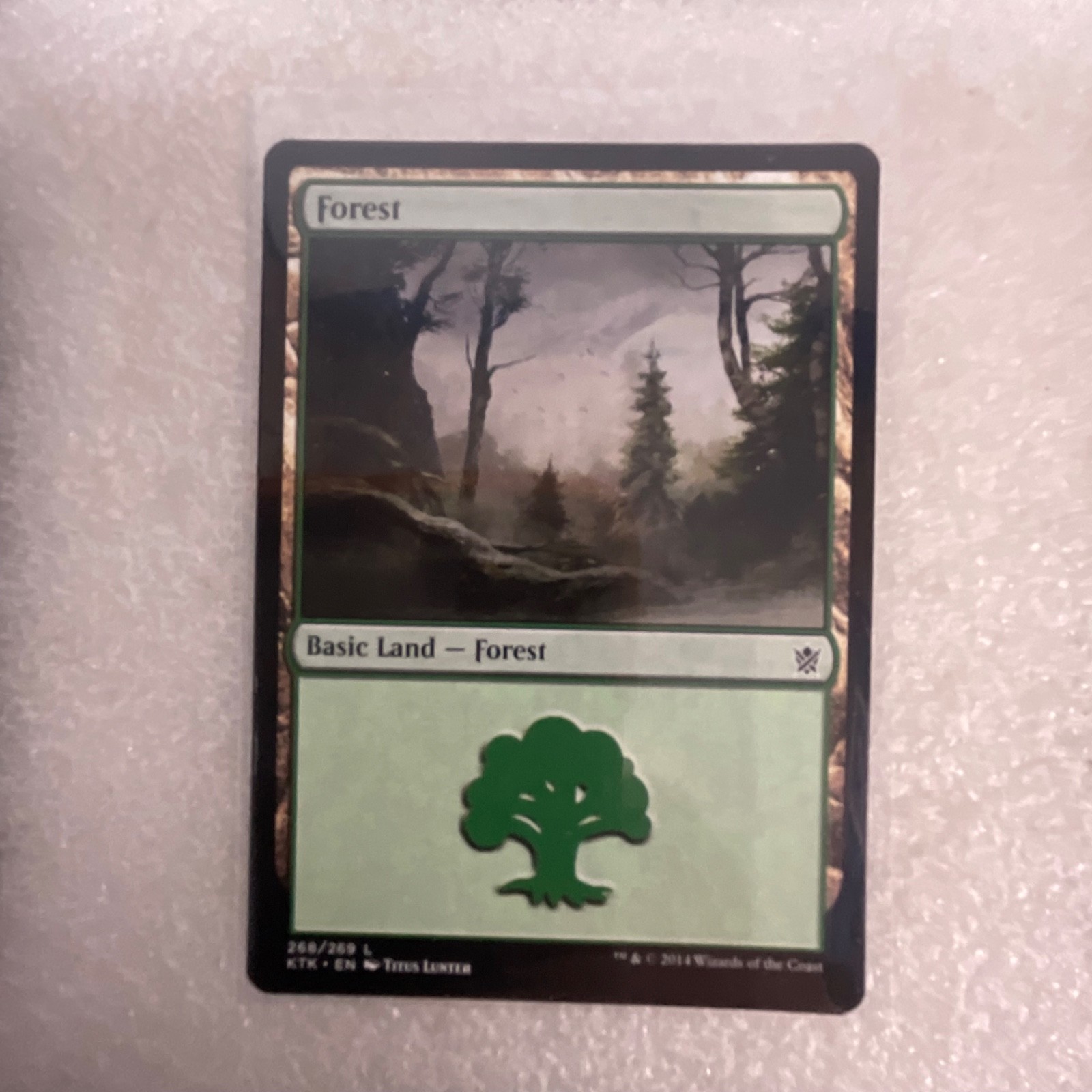 MTG 20 Card Mixed Set Lot Timberwatch Elf Dismantle Foil Basic Lands - Image 13