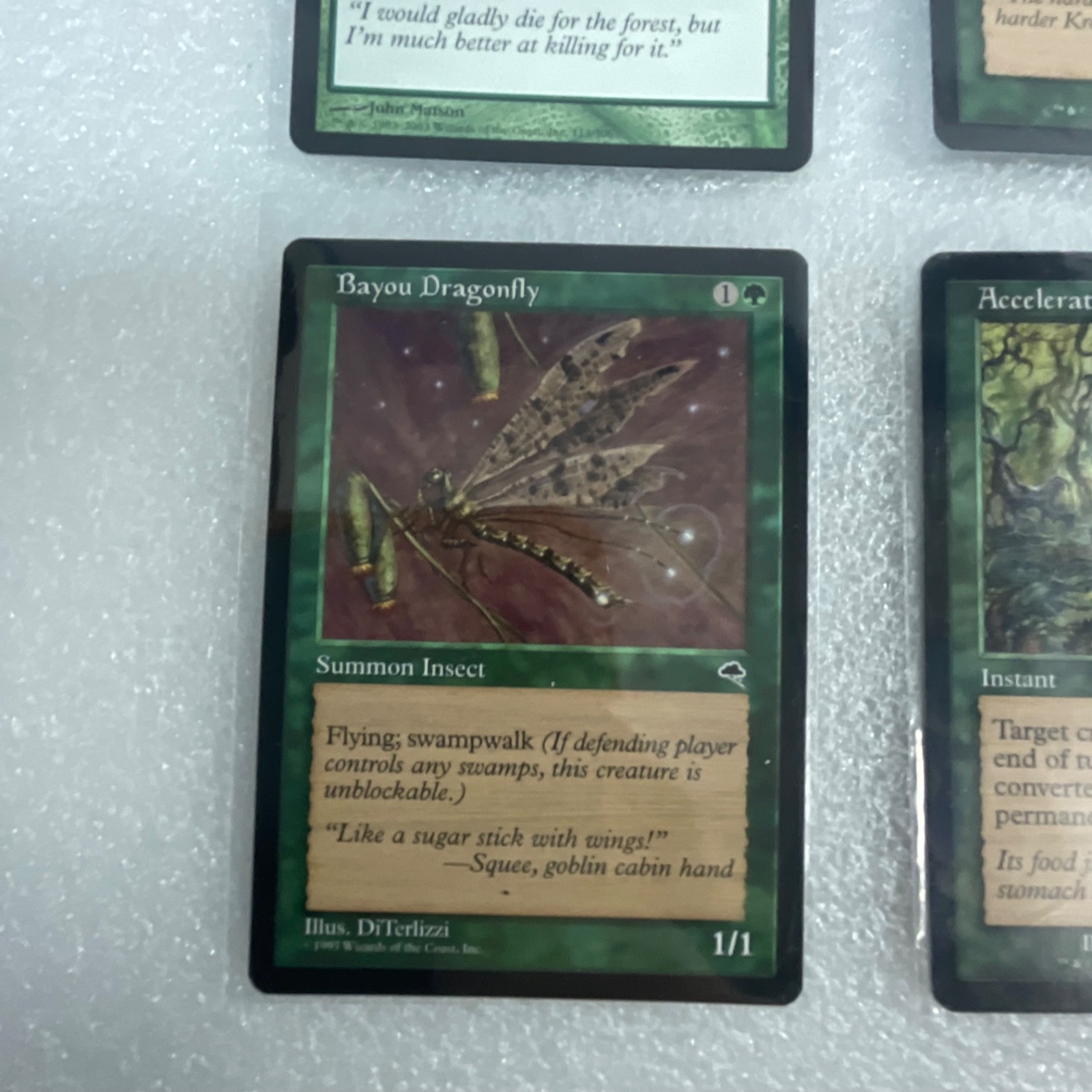 MTG 20 Card Green Lot Mixed Torment Judgment Onslaught Beast Attack Gnarr - Image 5