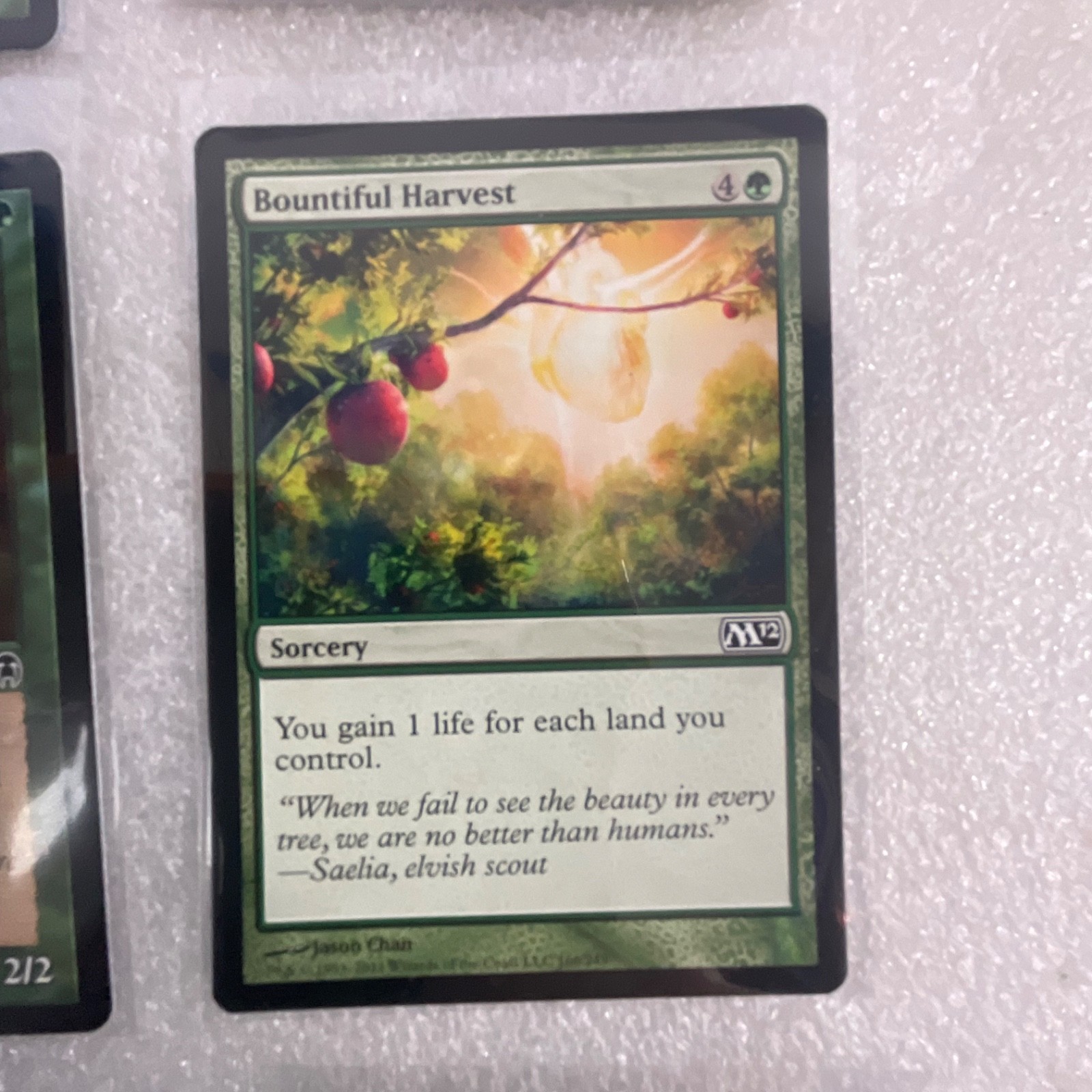 MTG 20 Card Green Lot Mixed Torment Judgment Onslaught Beast Attack Gnarr - Image 19