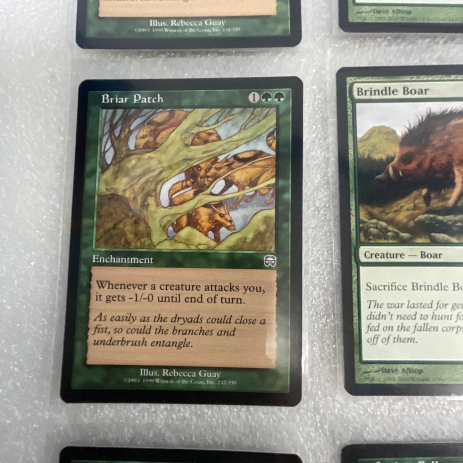 MTG 20 Card Green Lot Briar Patch Calming Verse Call of the Wild - Image 4