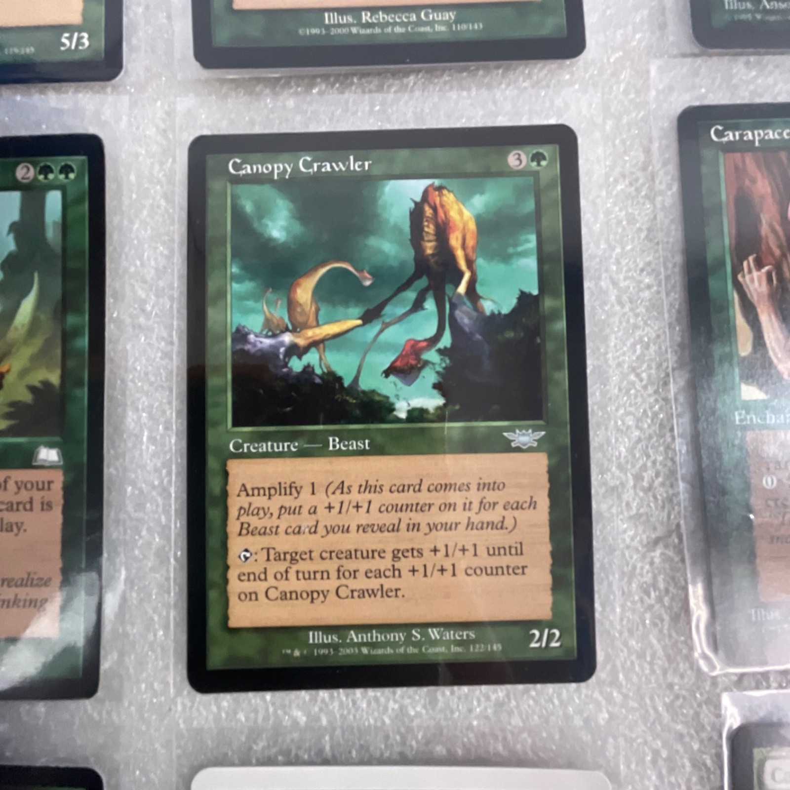 MTG 20 Card Green Lot Briar Patch Calming Verse Call of the Wild - Image 17