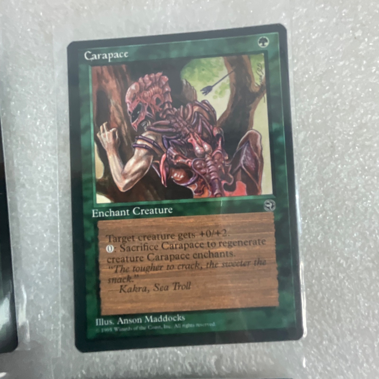 MTG 20 Card Green Lot Briar Patch Calming Verse Call of the Wild - Image 19