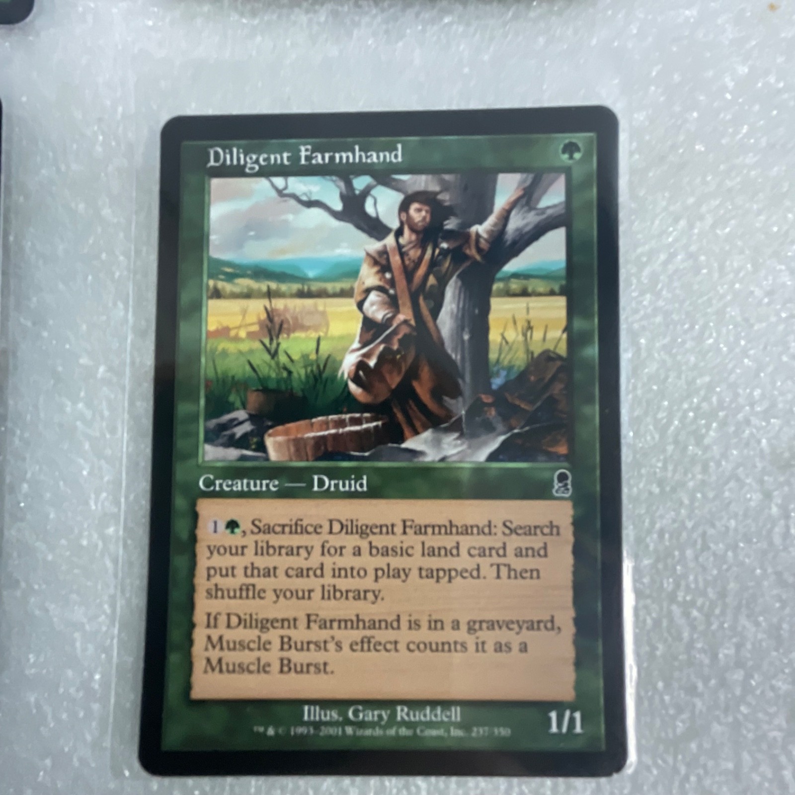 MTG Magic the Gathering 20 Card Green Lot Craw Wurm Defiant Elf Mixed Sets - Image 20