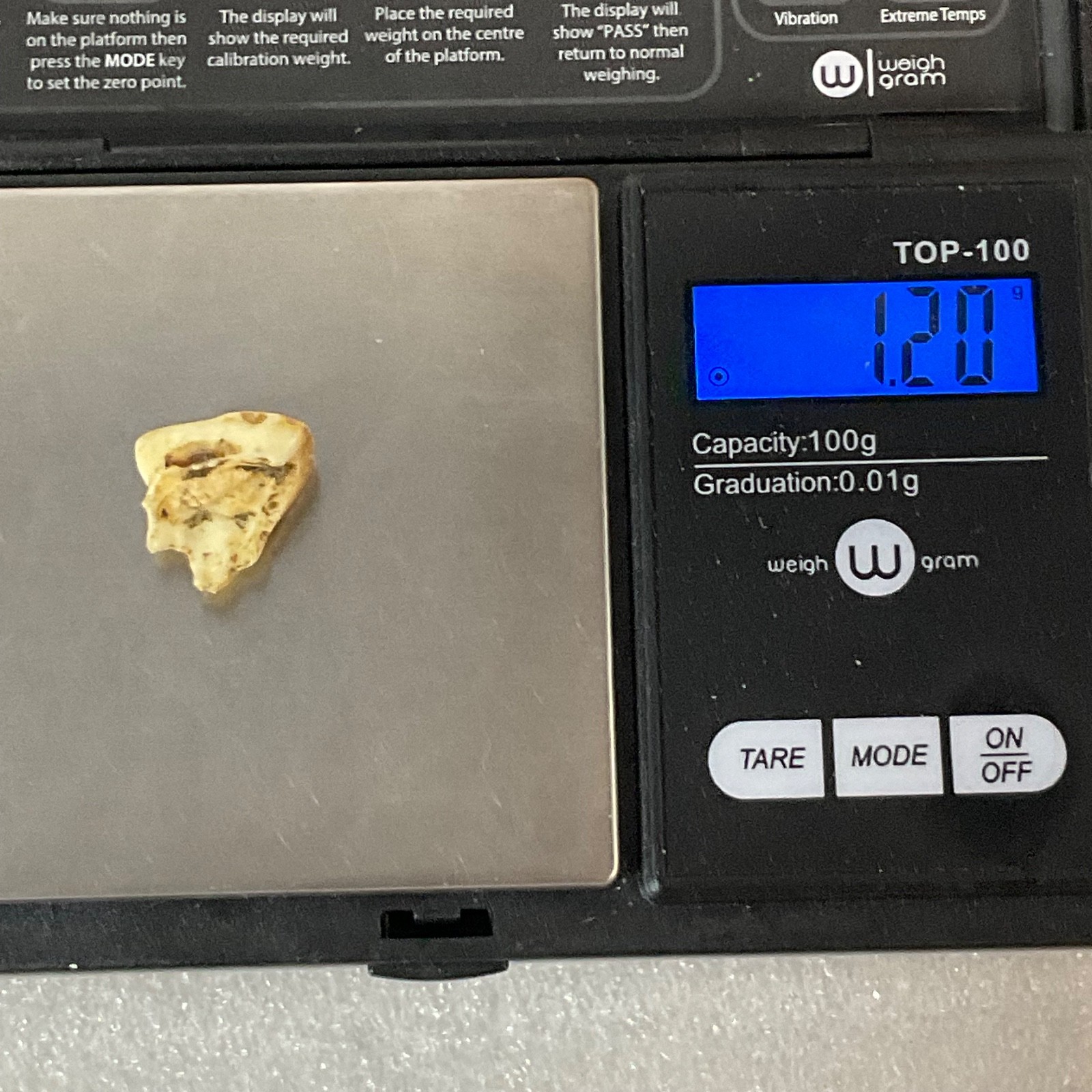 Horse Tooth Fragment 1in 1.2g Natural Specimen Fossilized Enamel Layer Display - Image 9