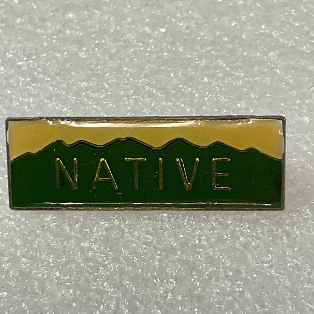 Vintage Native Green Mountains & Gold Accents 1.25” X 7/16” Pin Pinback Colorado - Image 1