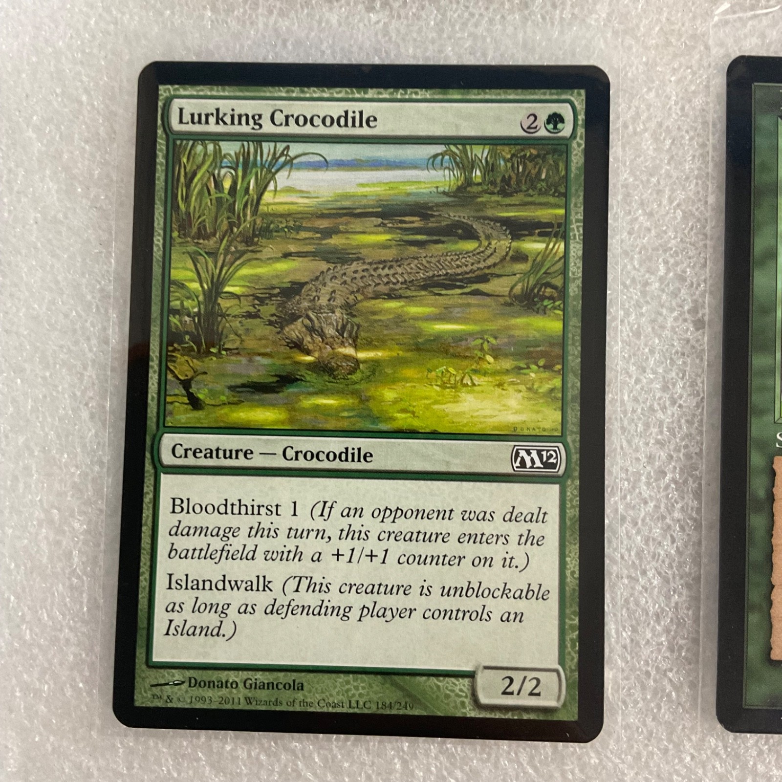 MTG 20 Card Green Lot Krosan Tusker Llanowar Elves Mixed Sets - Image 14