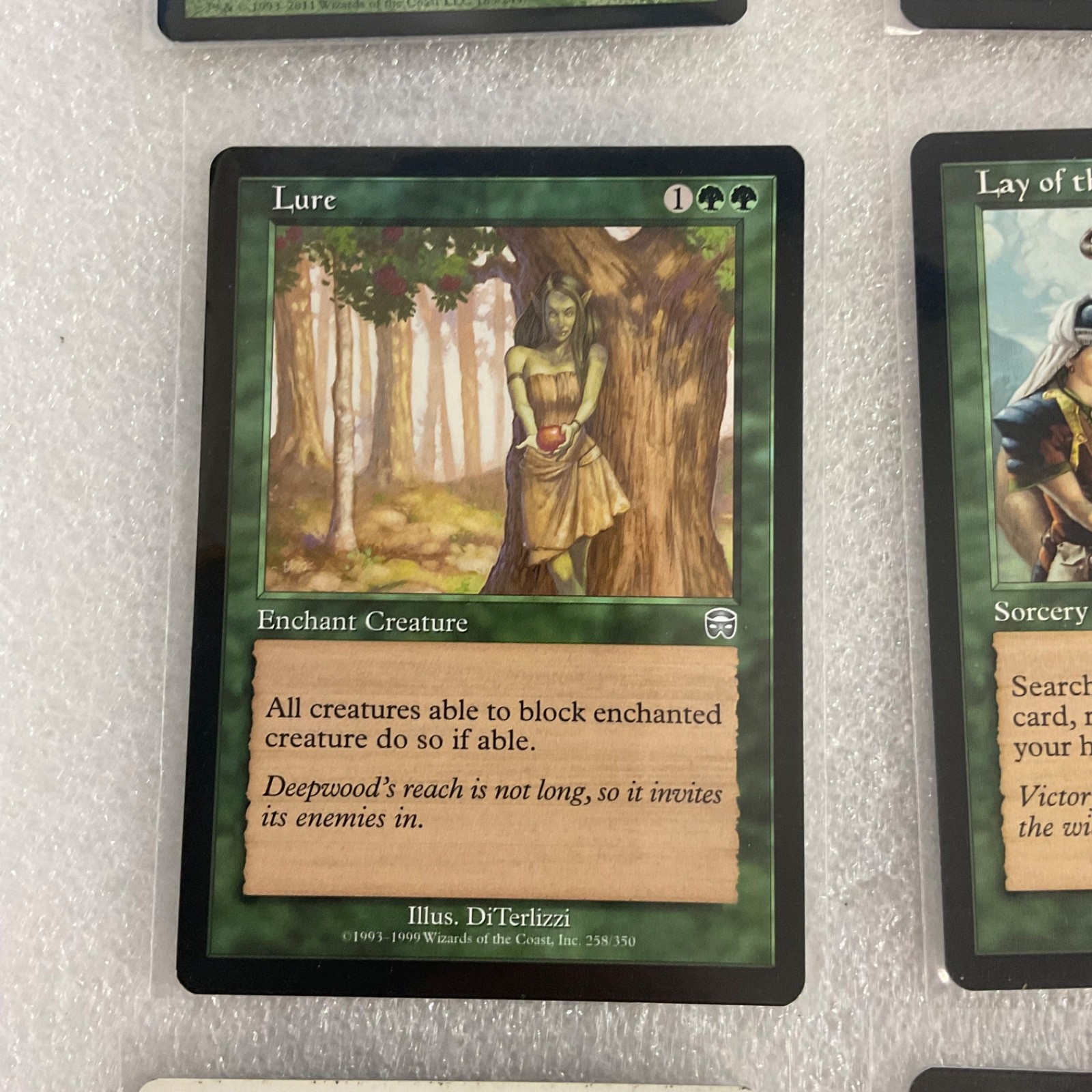 MTG 20 Card Green Lot Lure Lay of the Land Llanowar Mixed Sets - Image 4