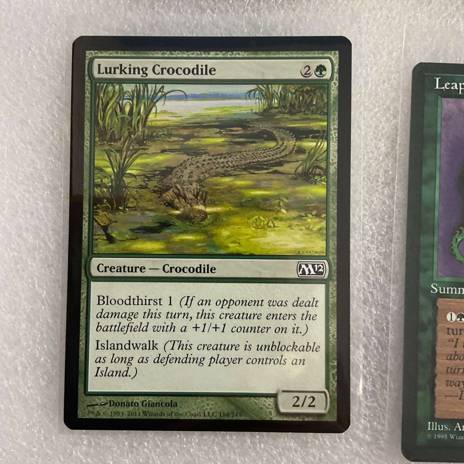 MTG 20 Card Green Lot Lure Lay of the Land Llanowar Mixed Sets - Image 6