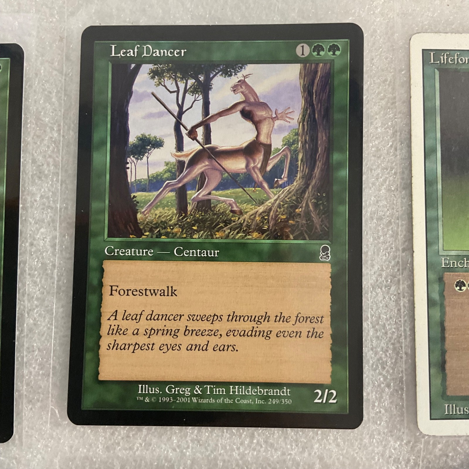MTG 20 Card Green Lot Lure Lay of the Land Llanowar Mixed Sets - Image 11