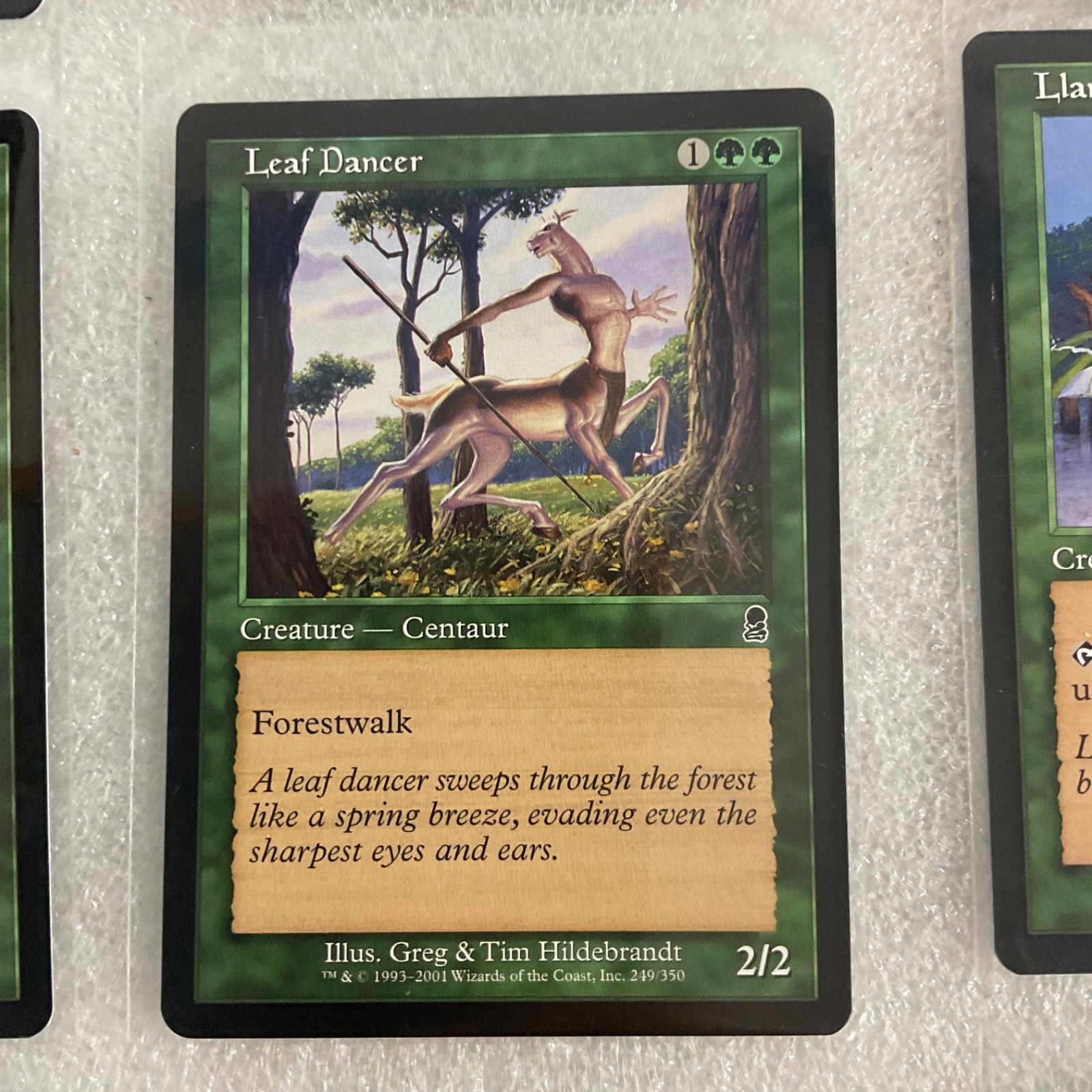 MTG 20 Card Green Lot Lure Lay of the Land Llanowar Mixed Sets - Image 12