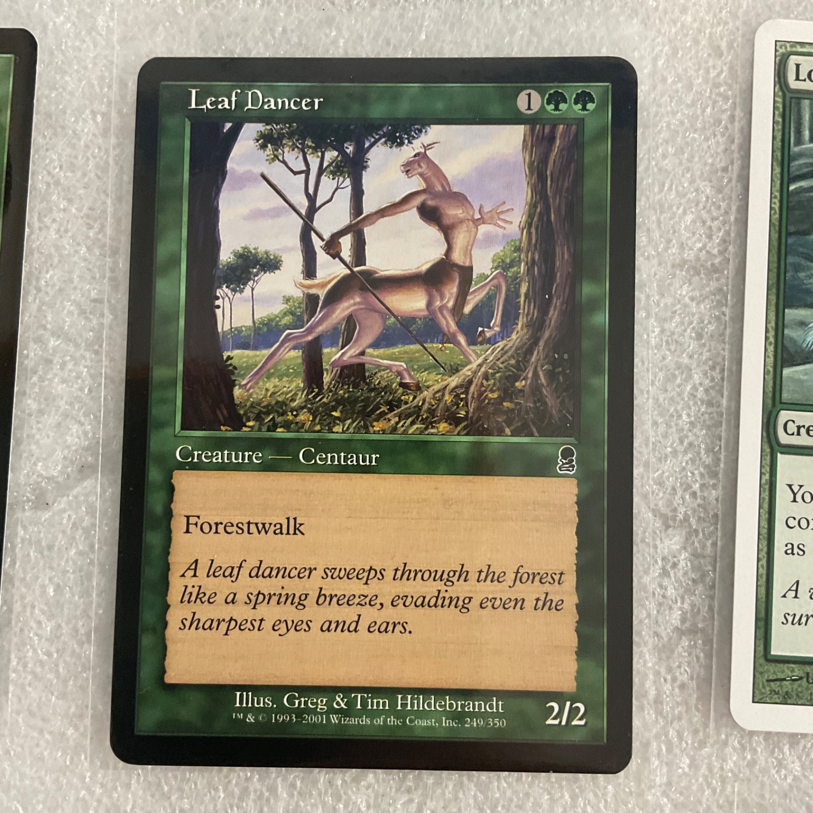MTG 20 Card Green Lot Lure Lay of the Land Llanowar Mixed Sets - Image 13