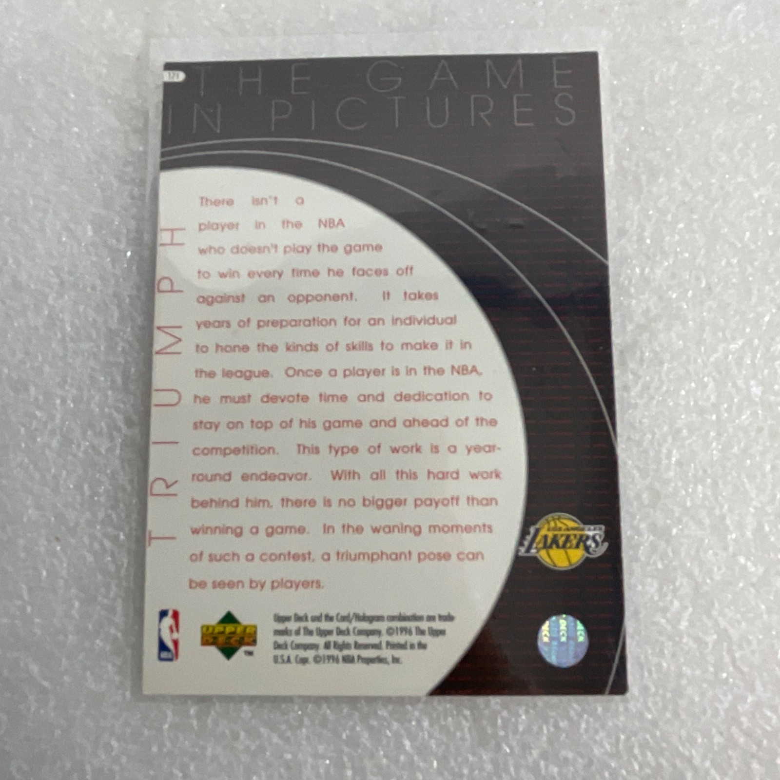 Vintage Topps Bears NBA Upper Deck 10 Card Lot Hampton Fencik - Image 13