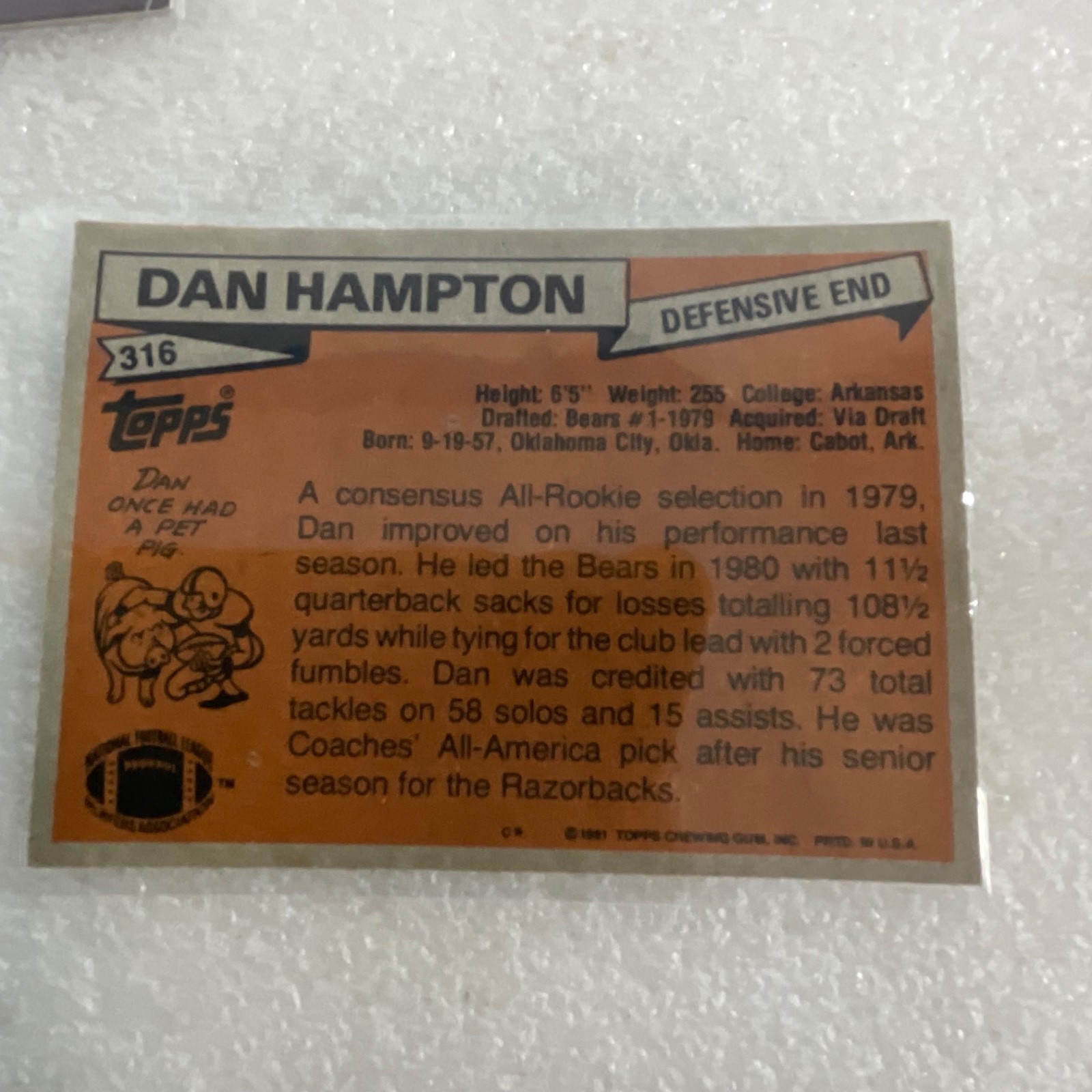 Vintage Topps Bears NBA Upper Deck 10 Card Lot Hampton Fencik - Image 18