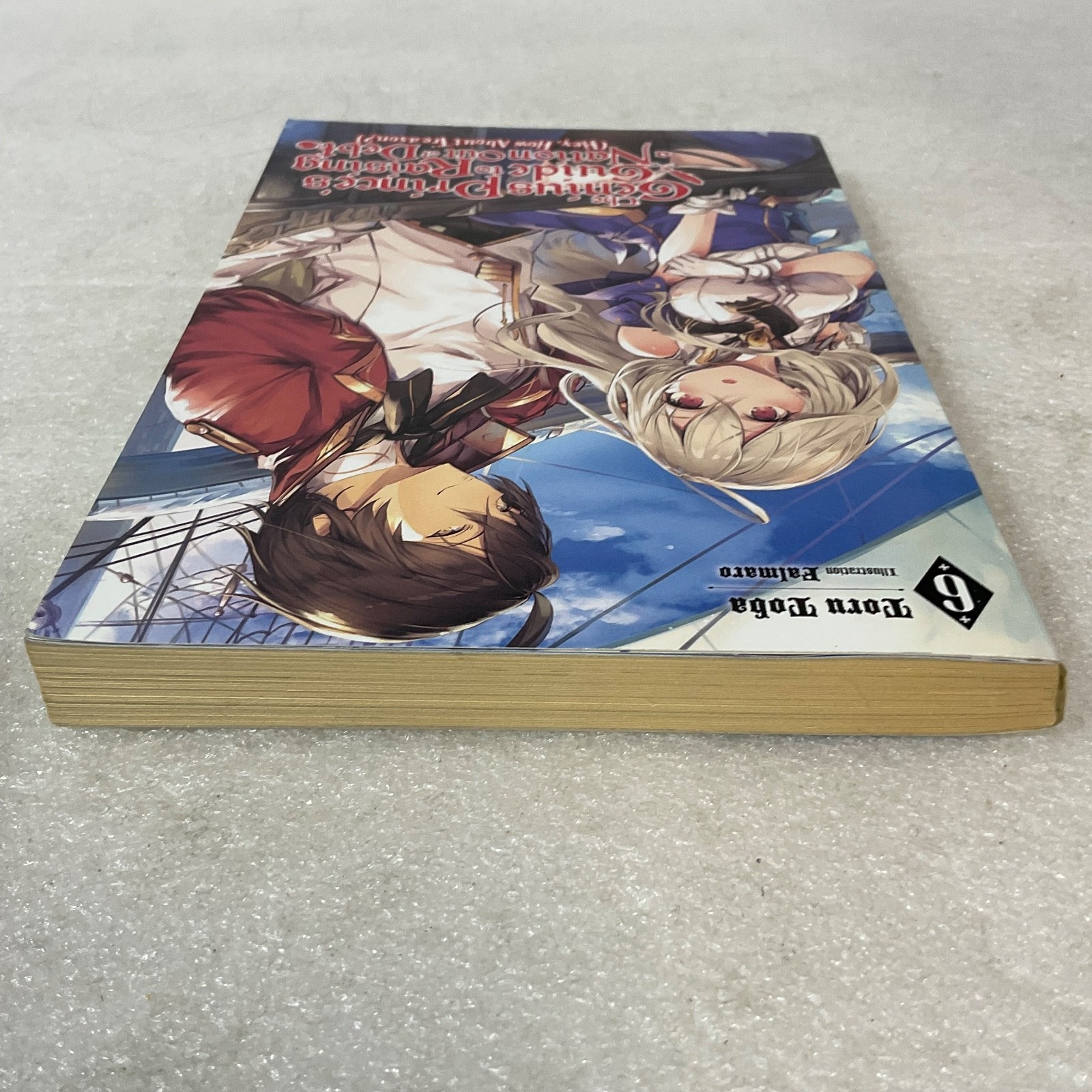 The Genius Prince’s Guide to Raising a Nation Out of Debt Vol 6 Light Novel - Image 6