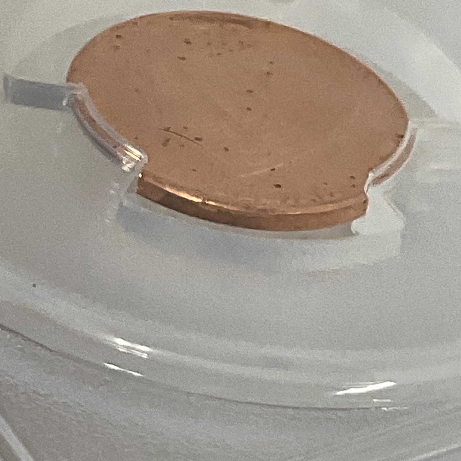 2010-D 1C Lincoln Shield Cent PCGS MS65RD Cert#53076131 - Image 12