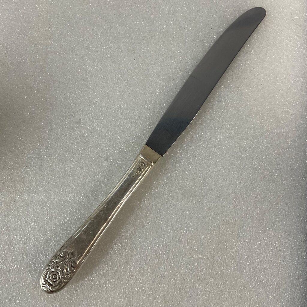 Vintage Silver Plate Dinner Knife 9.25in Floral Scroll Handle Stainless Blade - Image 1