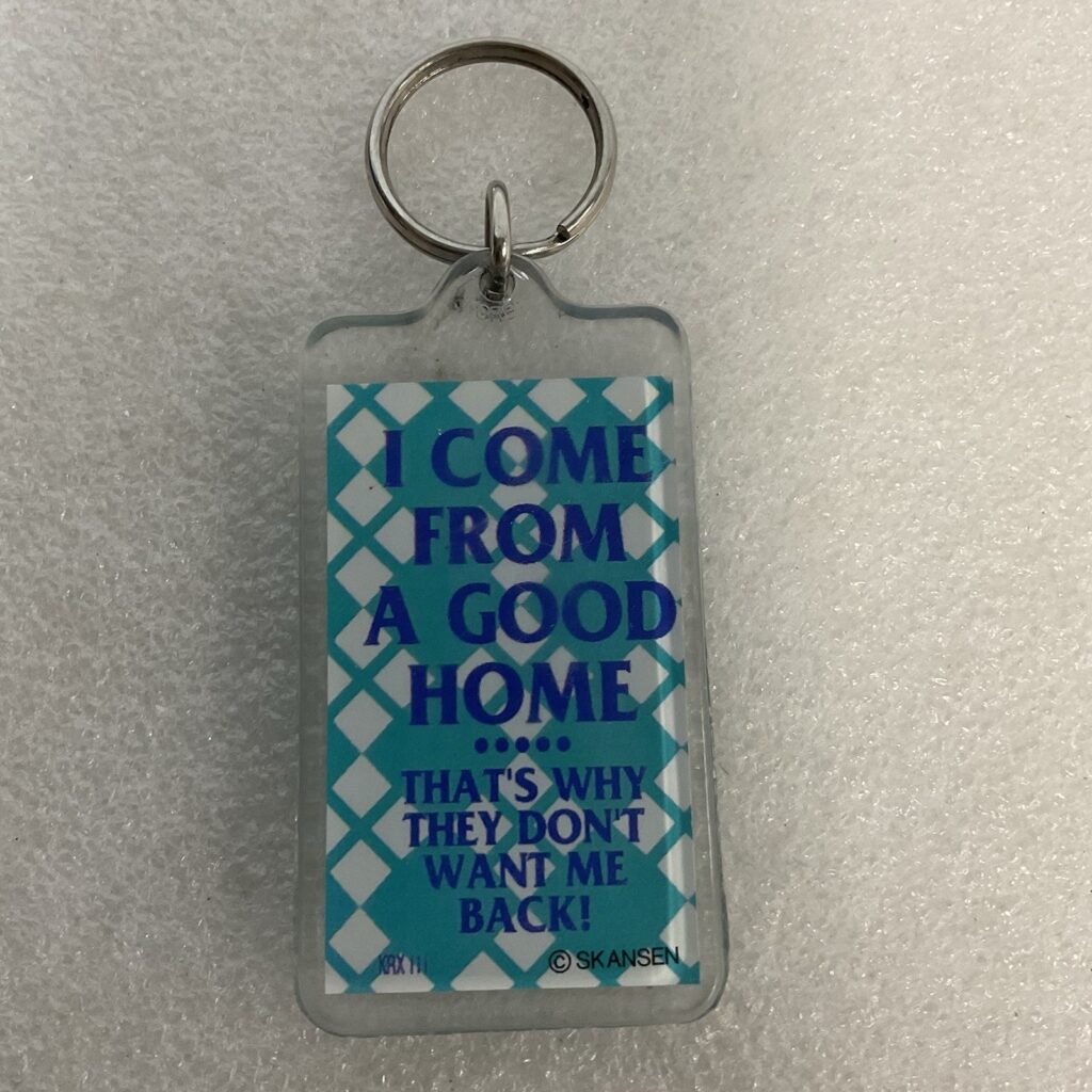 Vintage Skansen Keychain I Come From a Good Home Funny Humor Collectible - Image 1