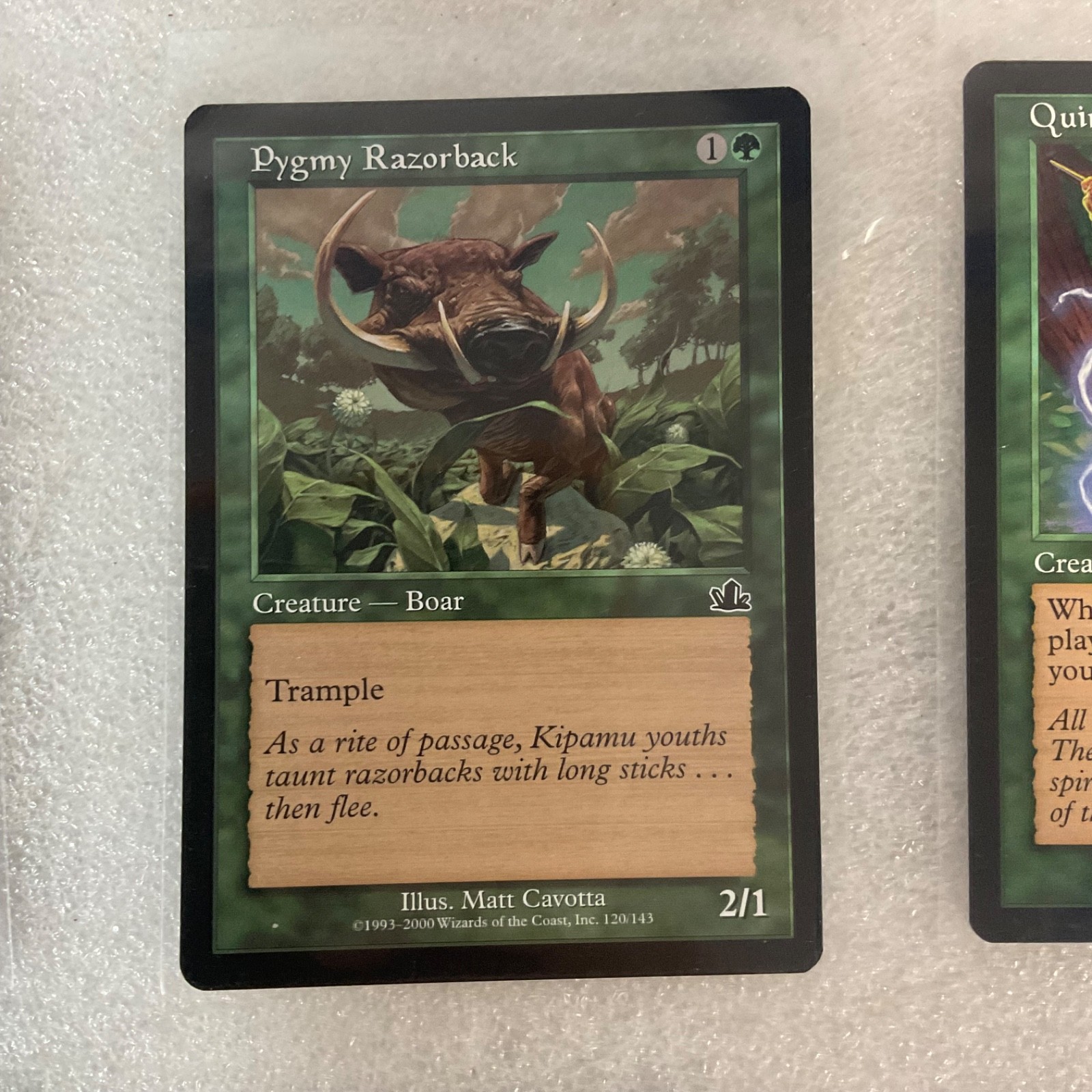 Title MTG 20 Card Green Lot Mixed Sets Invasion Fifth Dawn Plummet Trailblazer - Image 18