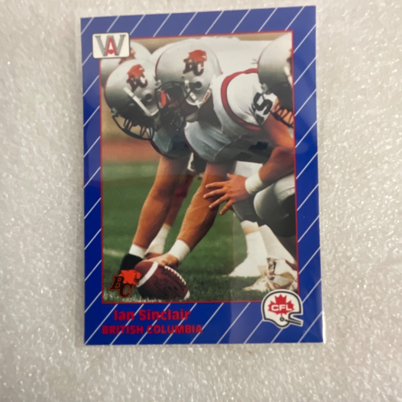 1991 All World CFL Football 10 Card Lot AW Sports Wild Card - Image 4