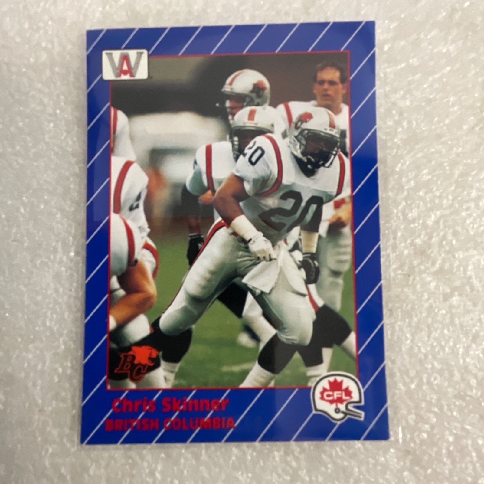1991 All World CFL Football 10 Card Lot AW Sports Wild Card - Image 8