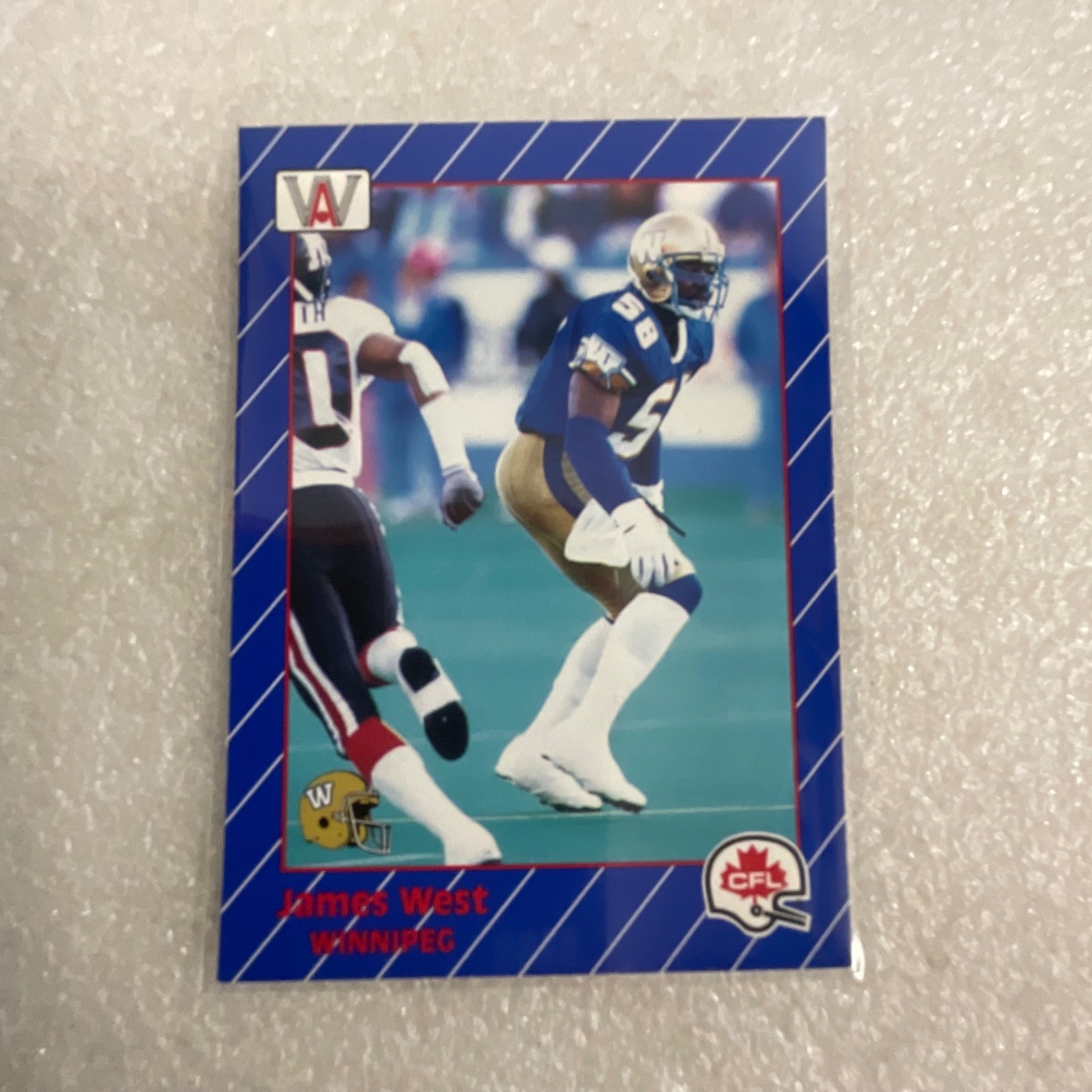 1991 All World CFL Football 10 Card Lot AW Sports Wild Card - Image 12