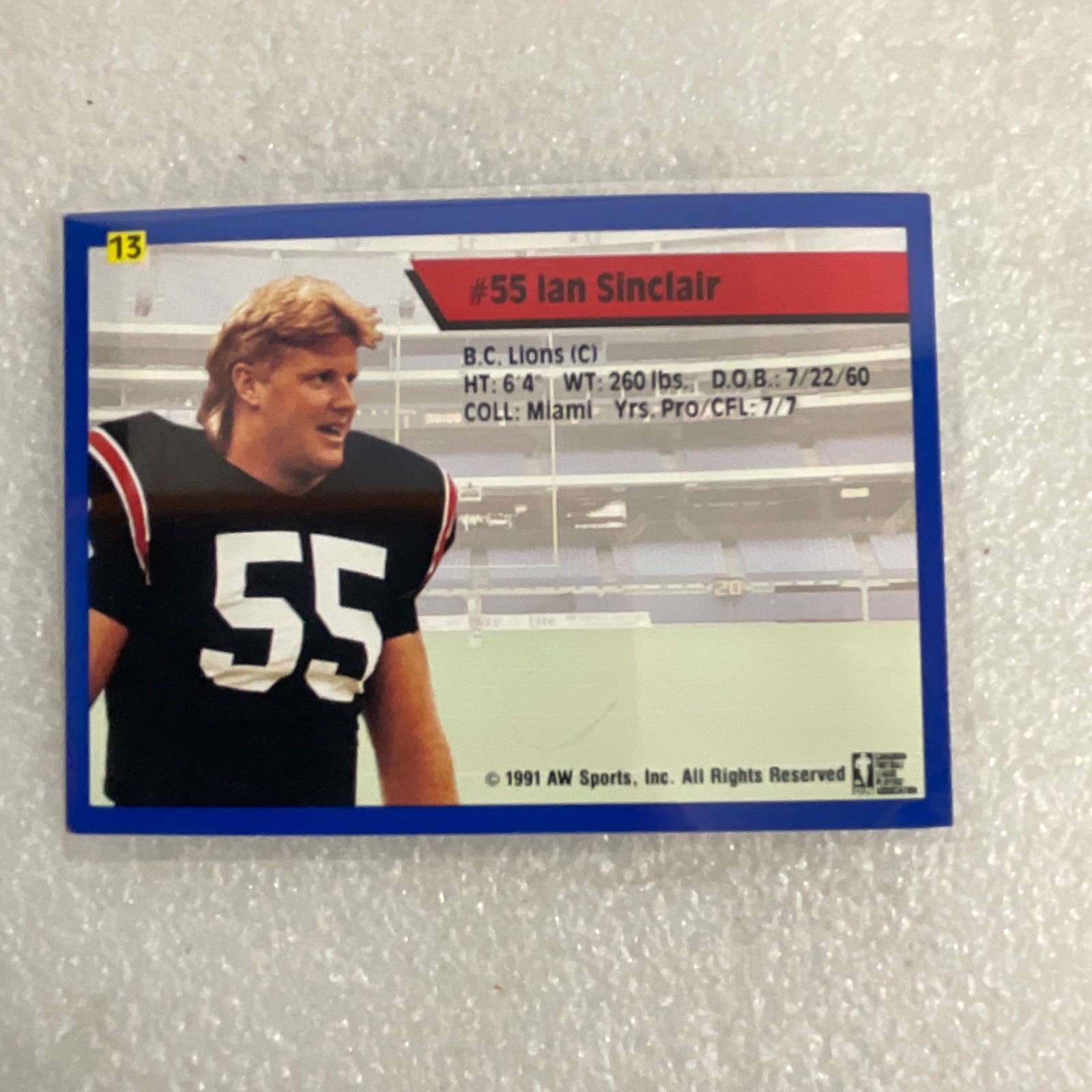 1991 All World CFL Football 10 Card Lot AW Sports Wild Card - Image 14