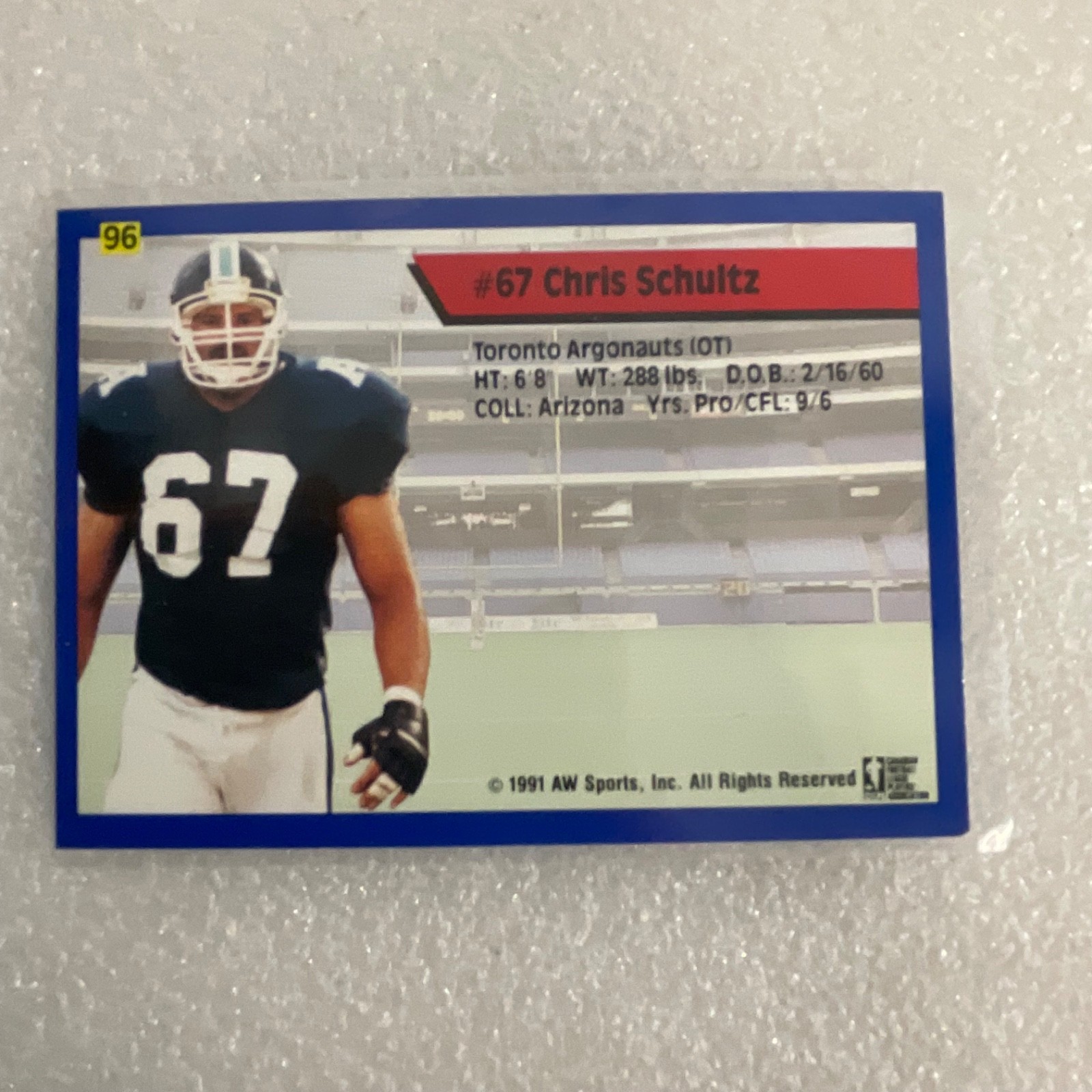 1991 All World CFL Football 10 Card Lot AW Sports Wild Card - Image 13