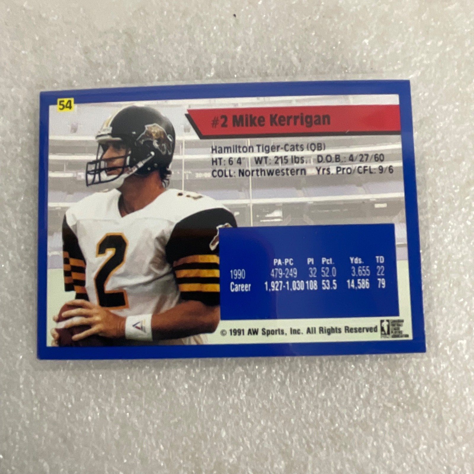 1991 All World CFL Football 10 Card Lot AW Sports Wild Card - Image 15