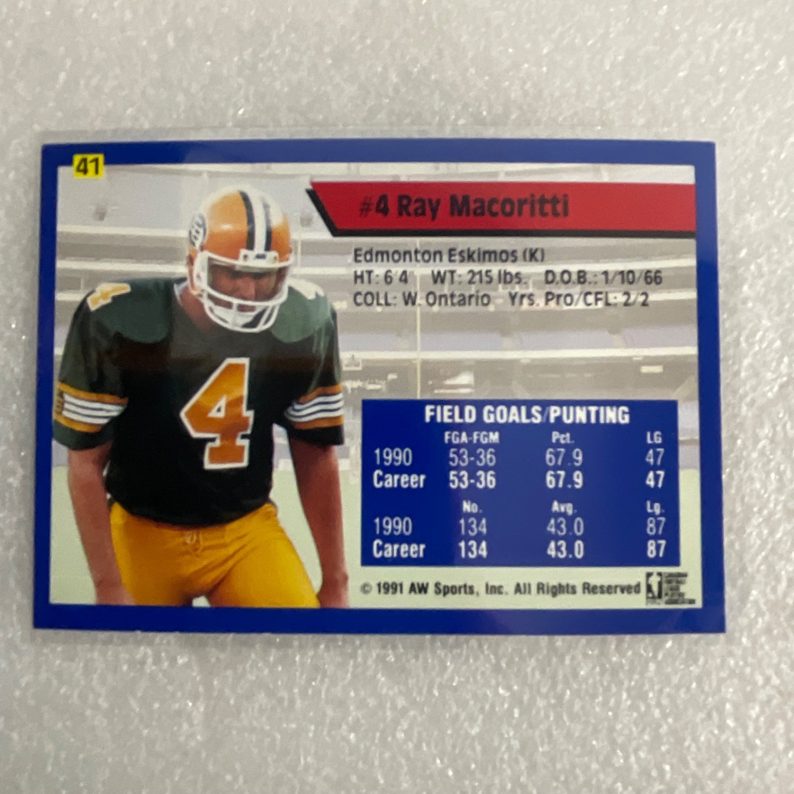 1991 All World CFL Football 10 Card Lot AW Sports Wild Card - Image 16