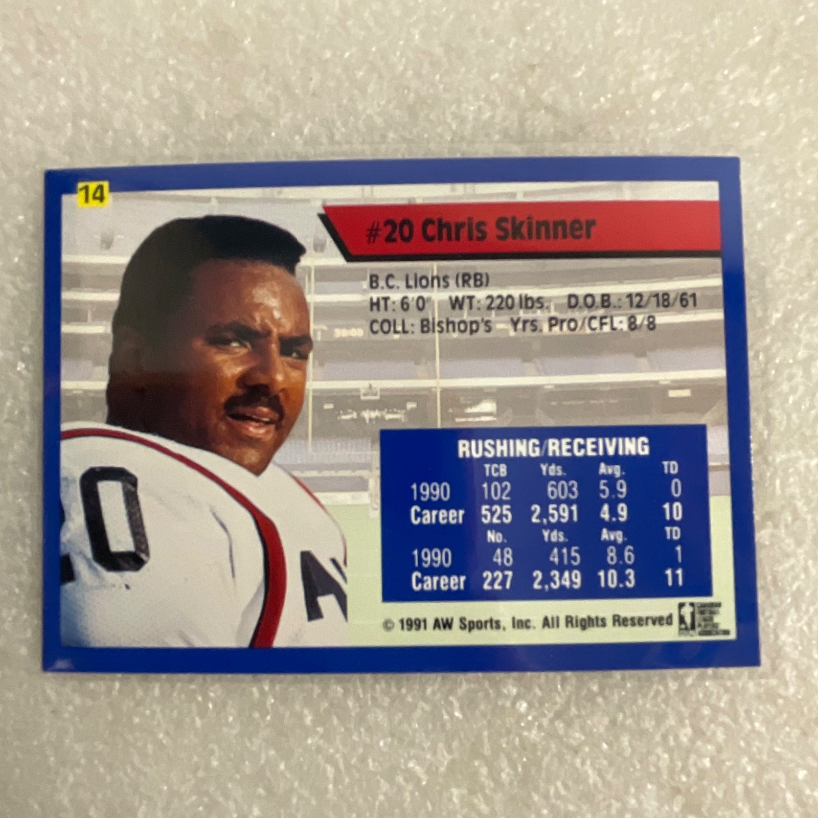 1991 All World CFL Football 10 Card Lot AW Sports Wild Card - Image 18