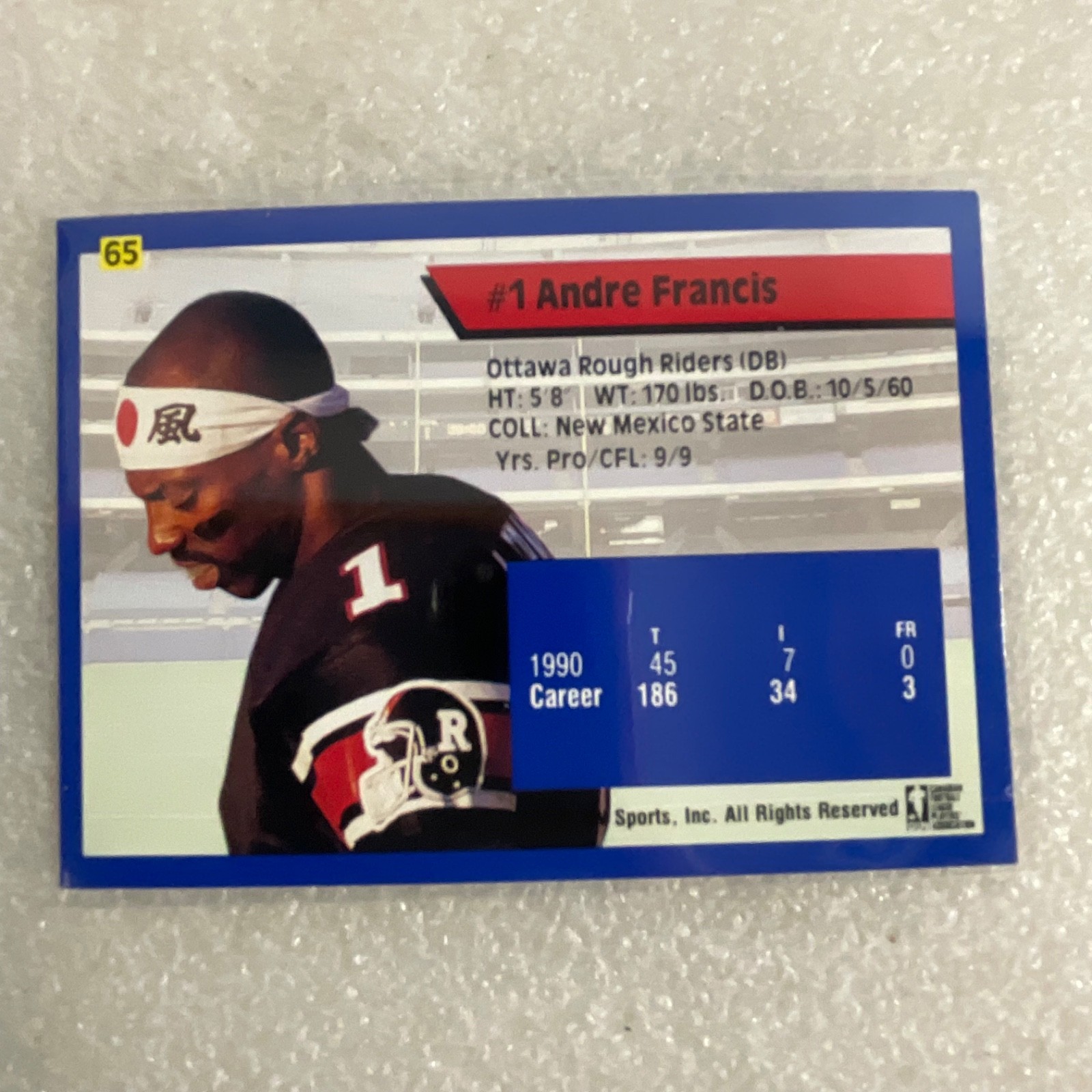 1991 All World CFL Football 10 Card Lot AW Sports Wild Card - Image 19