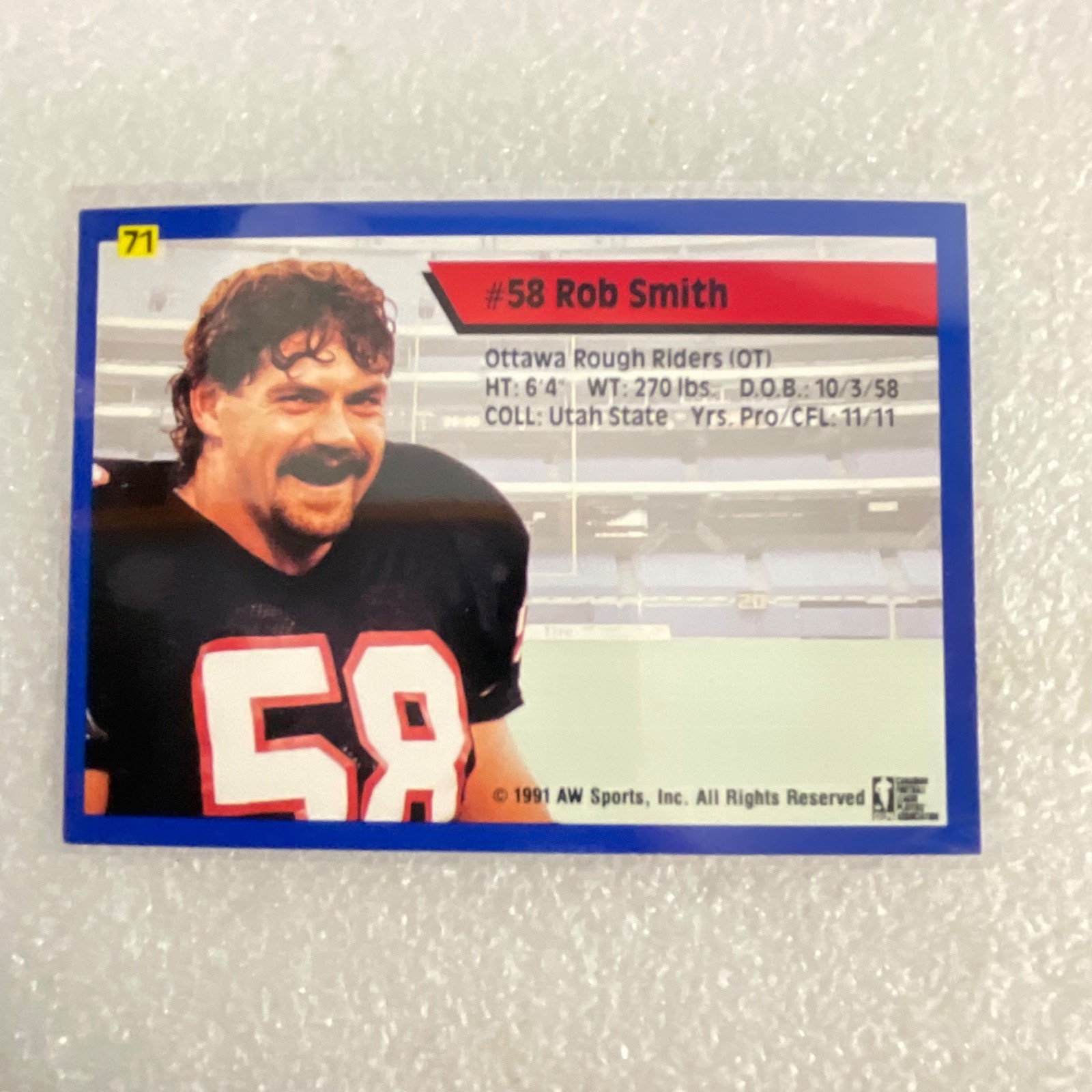 1991 All World CFL Football 10 Card Lot AW Sports Wild Card - Image 20