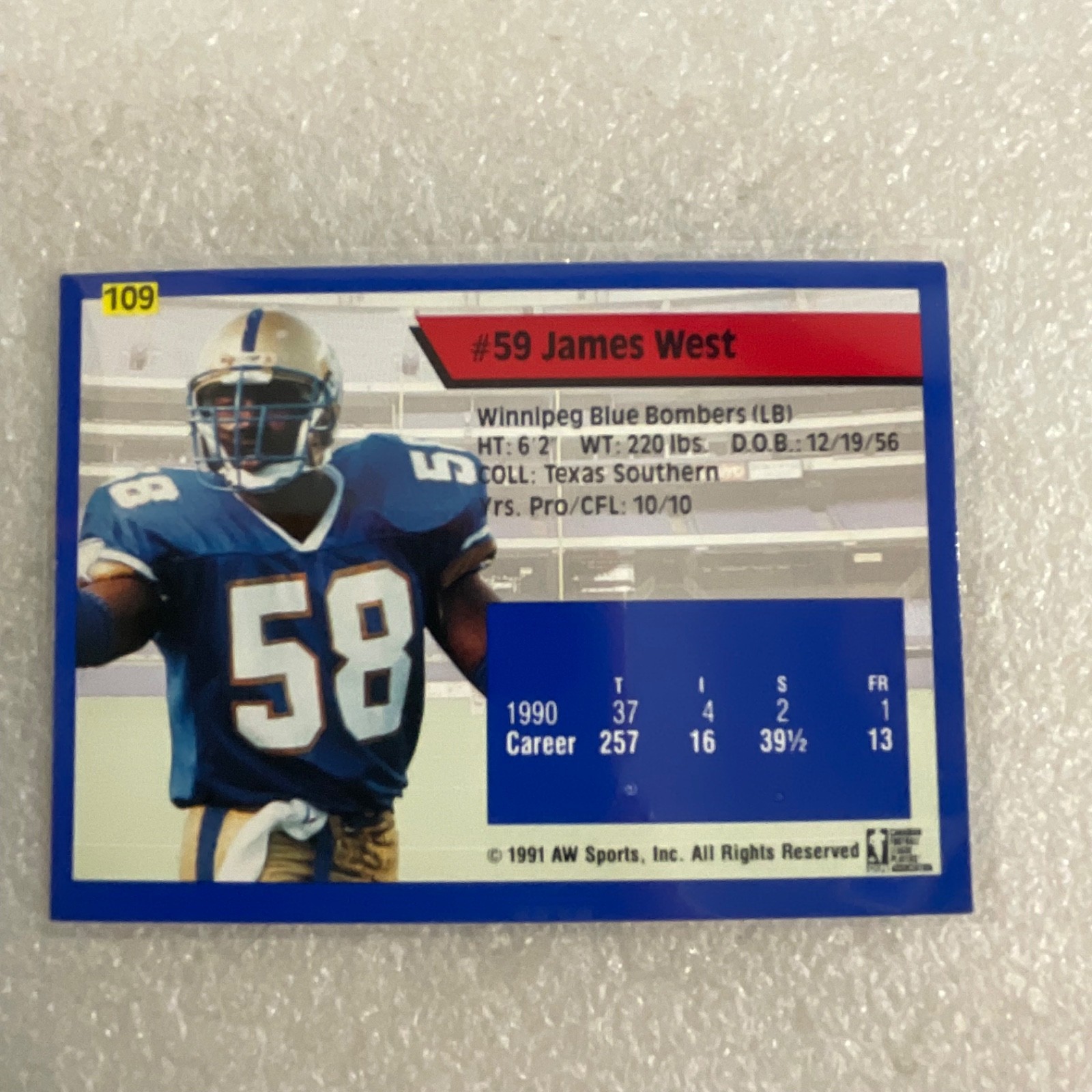 1991 All World CFL Football 10 Card Lot AW Sports Wild Card - Image 22