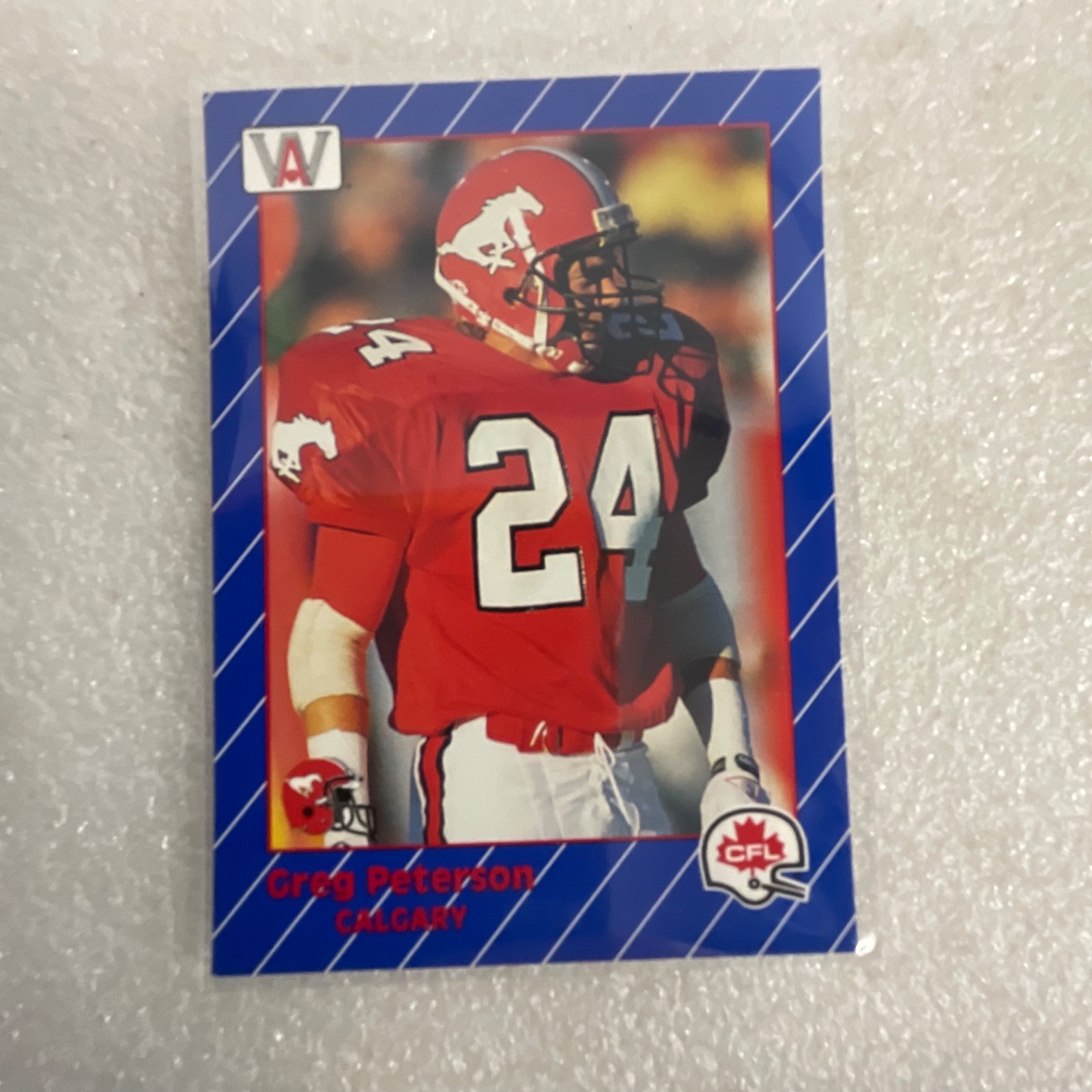 1991 AW Sports CFL 10 Card Lot Rocket Ismail Mike Scott Donruss - Image 2