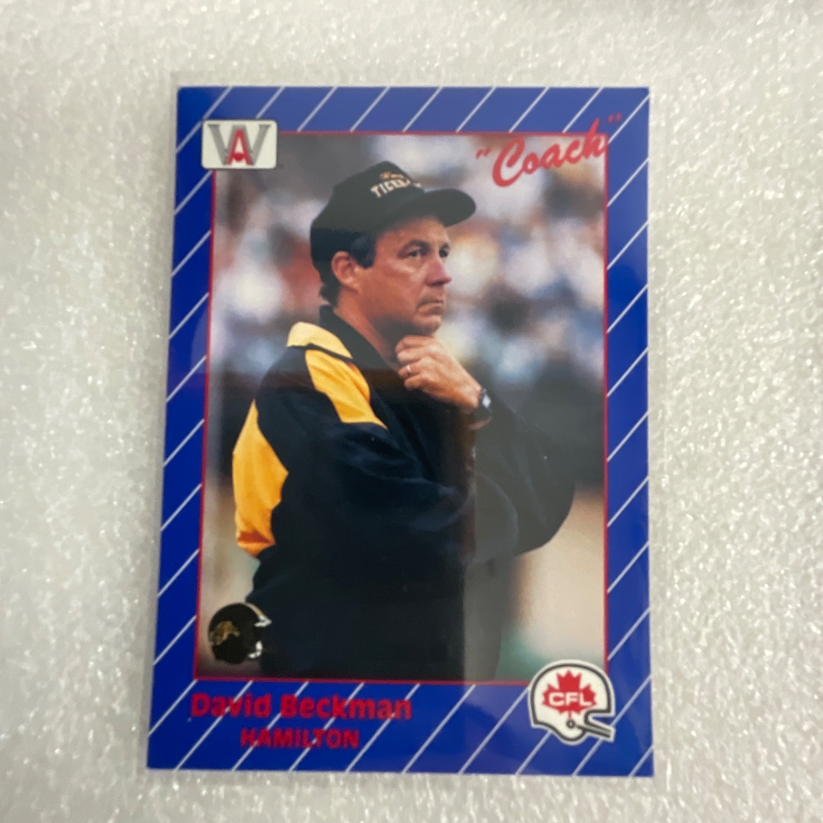 1991 AW Sports CFL 10 Card Lot Rocket Ismail Mike Scott Donruss - Image 4