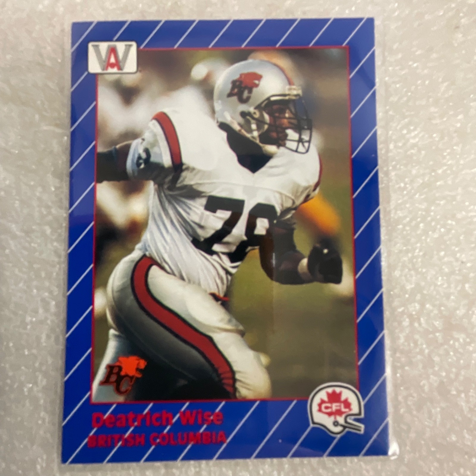 1991 AW Sports CFL 10 Card Lot Rocket Ismail Mike Scott Donruss - Image 7