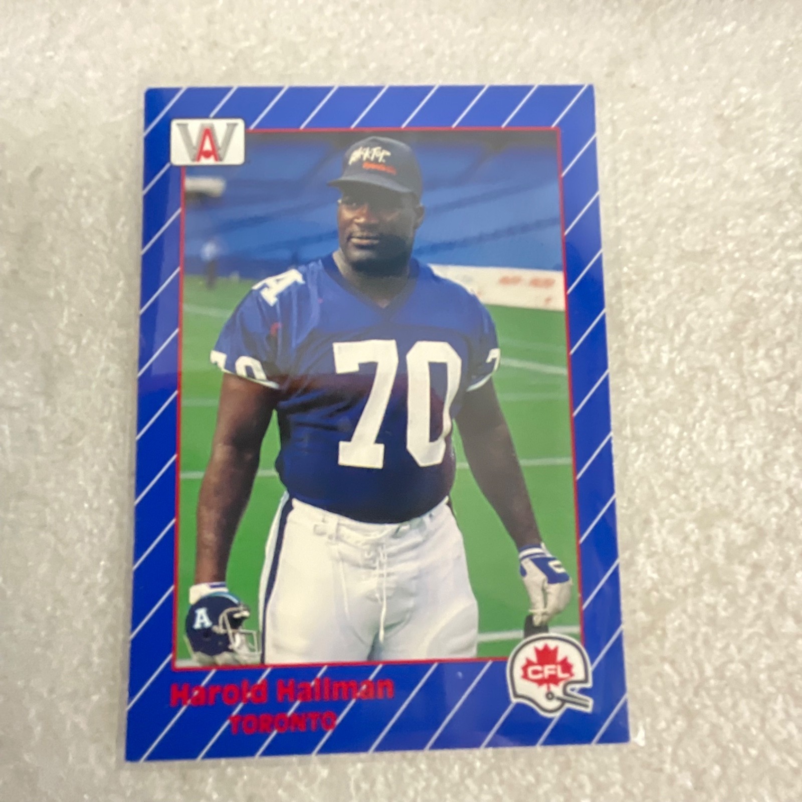 1991 AW Sports CFL 10 Card Lot Rocket Ismail Mike Scott Donruss - Image 9