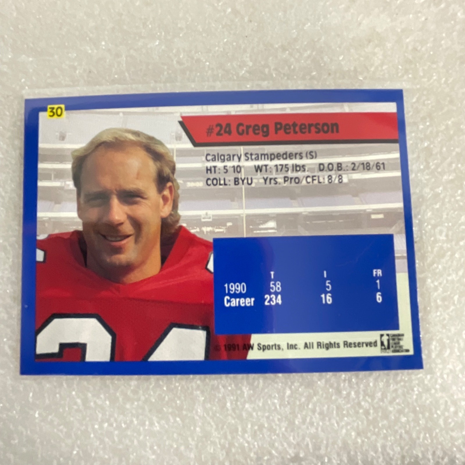 1991 AW Sports CFL 10 Card Lot Rocket Ismail Mike Scott Donruss - Image 12