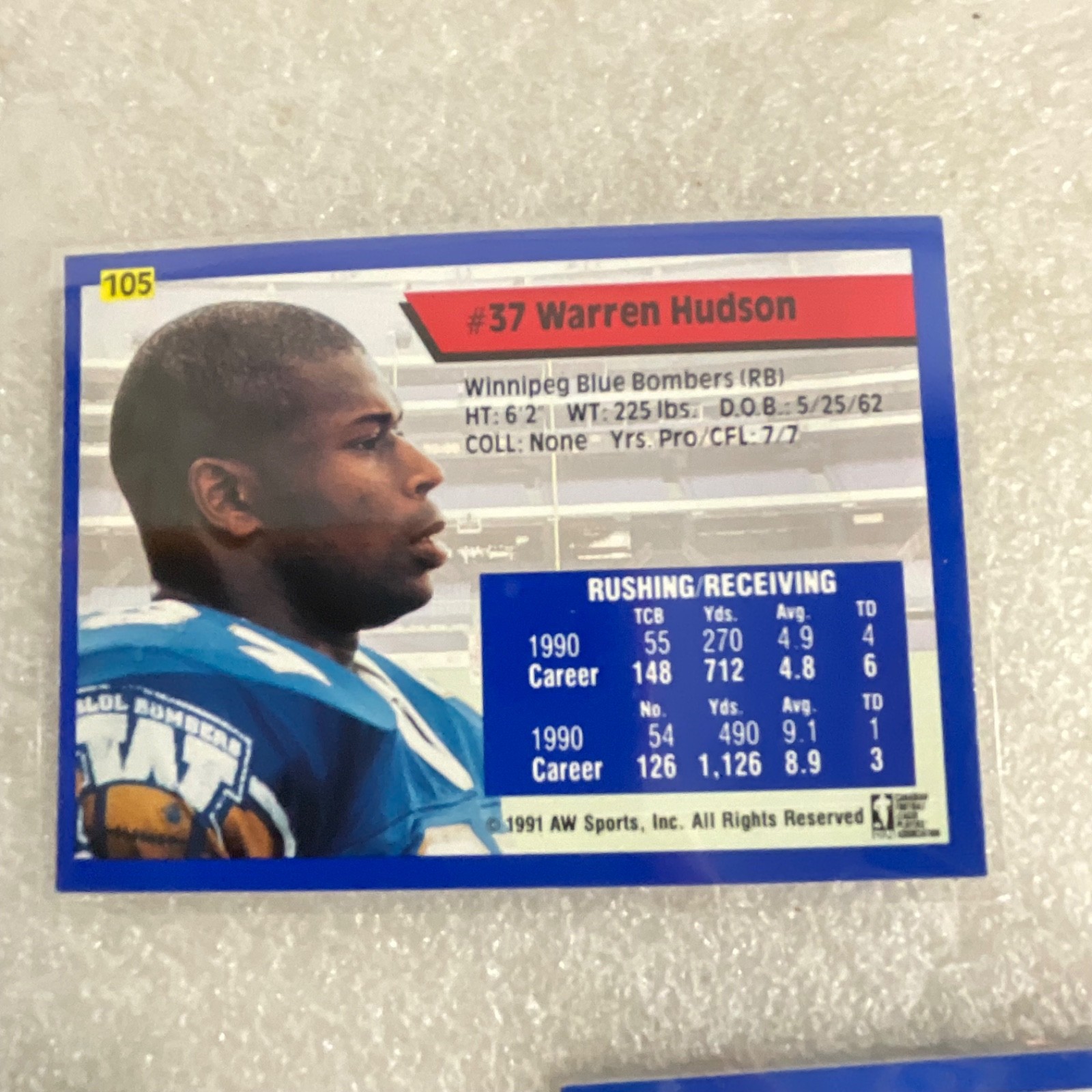 1991 AW Sports CFL 10 Card Lot Rocket Ismail Mike Scott Donruss - Image 13
